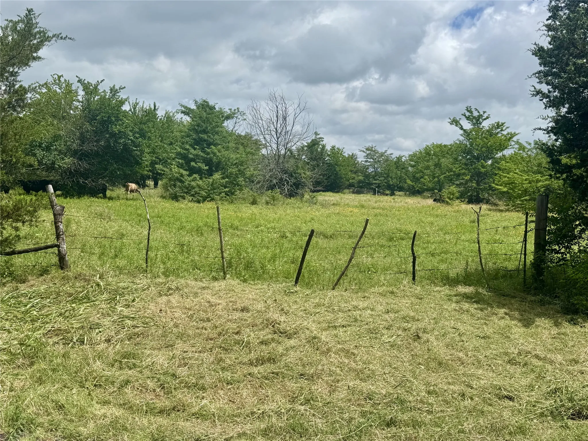 Expansive grassy field framed by mature trees, featuring a rustic wire fence with wood posts