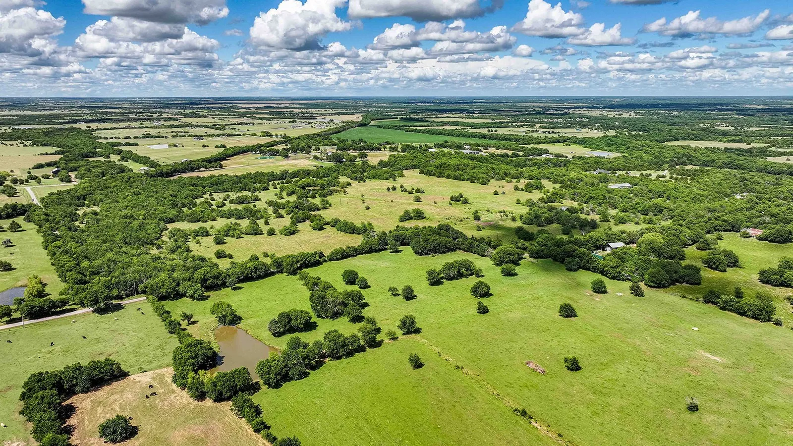 Expansive green acreage featuring scattered mature trees, multiple water features, and a distant tree line