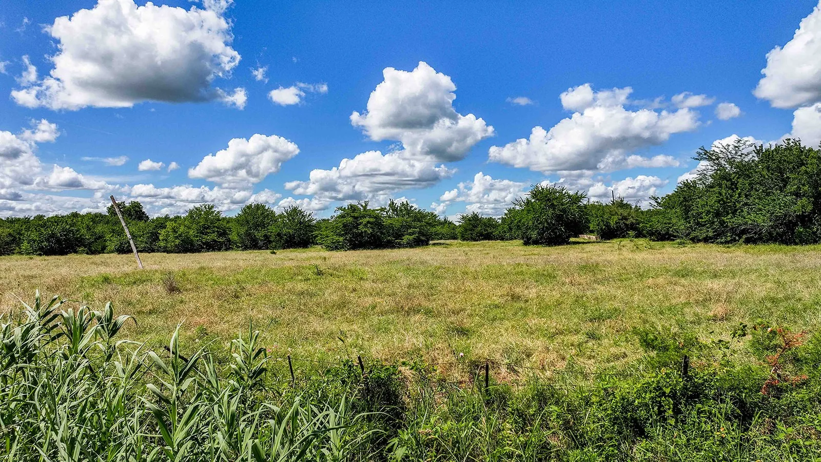 Expansive land parcel featuring natural grasses and mature trees