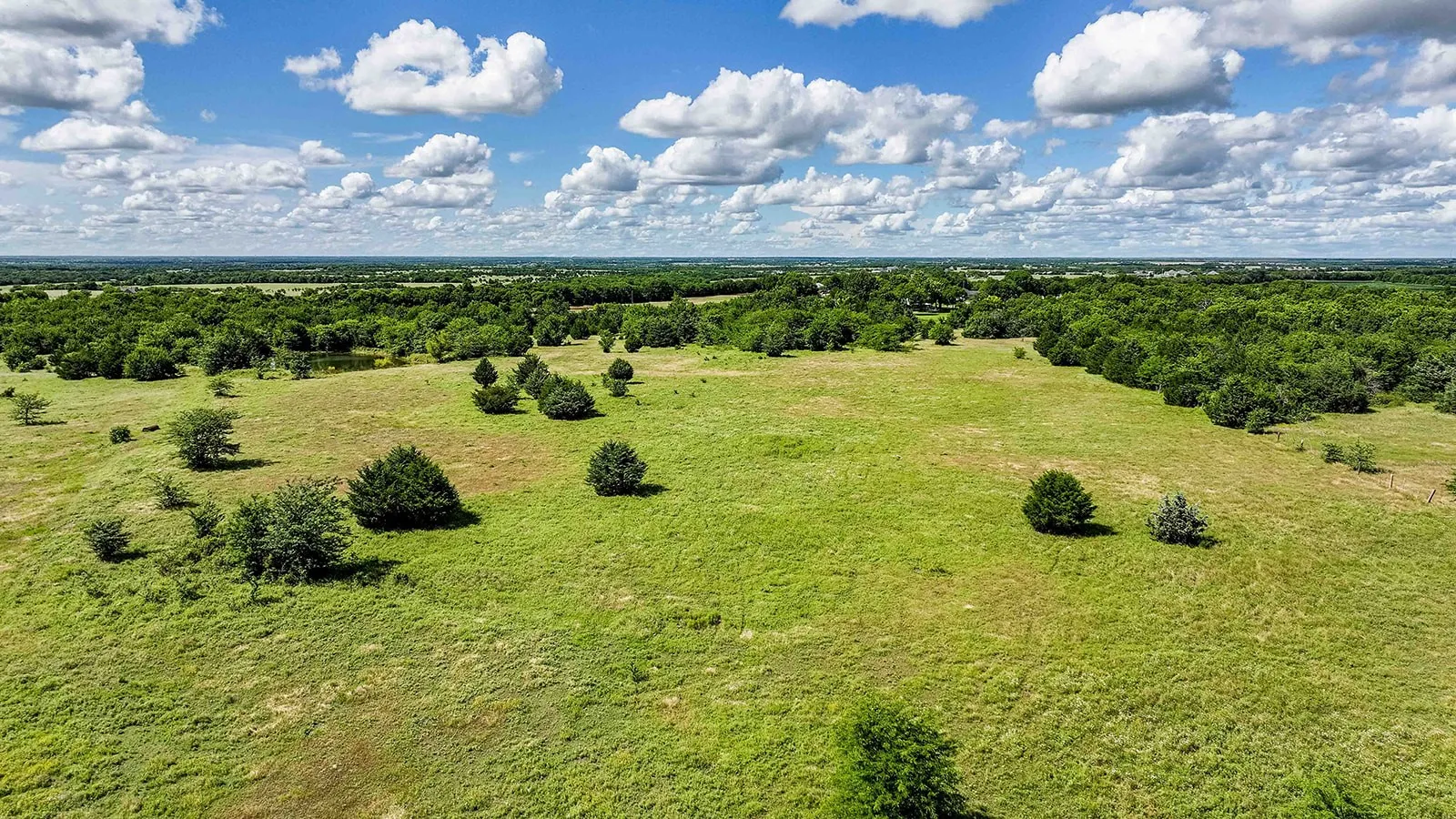 Expansive green pastureland featuring scattered trees, a distant pond, and surrounding mature woodland