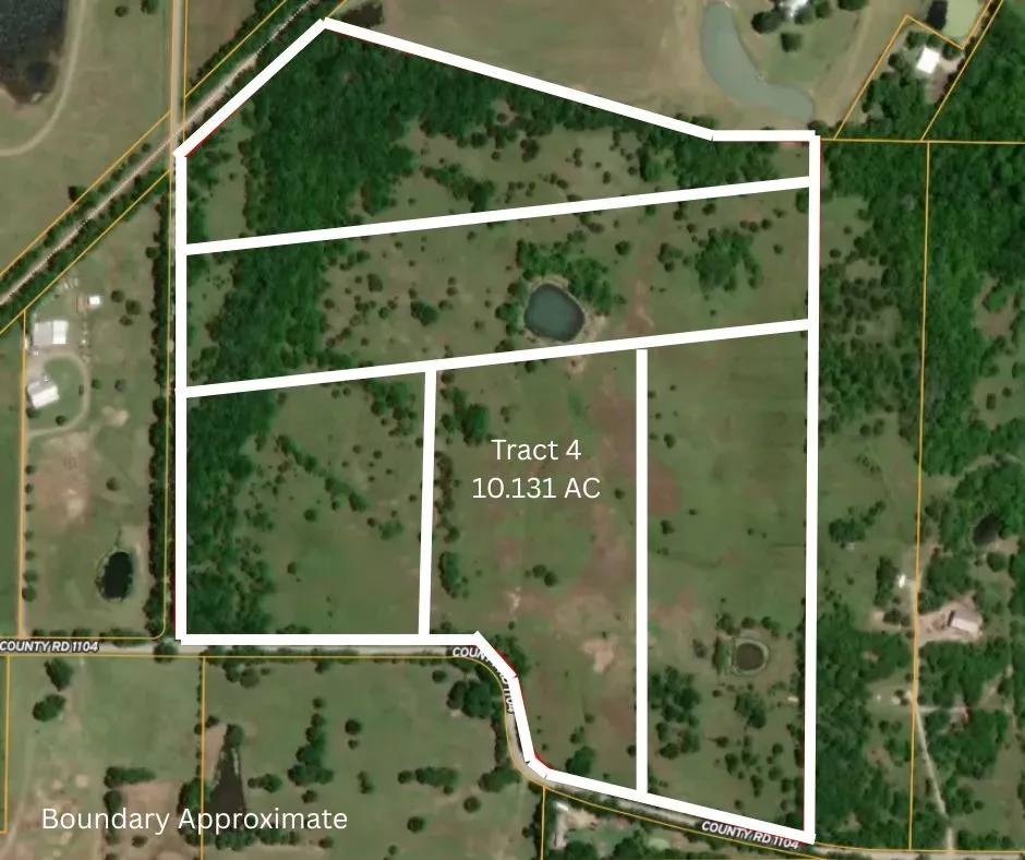 Unimproved Land For Sale in Hunt County , 4 County Road 1104, Celeste, Texas 75423, 0, 0, Garage spaces, 0 Sqft, built in 0, mls#21301821, Real Estate Agent in Celeste, Homes For Sale in Hunt county, Homes For Sale in Celeste, Realtor in Celeste Texas, Real Estate Brokerage Independent Realty Texas, Luminita Cordes Realtor