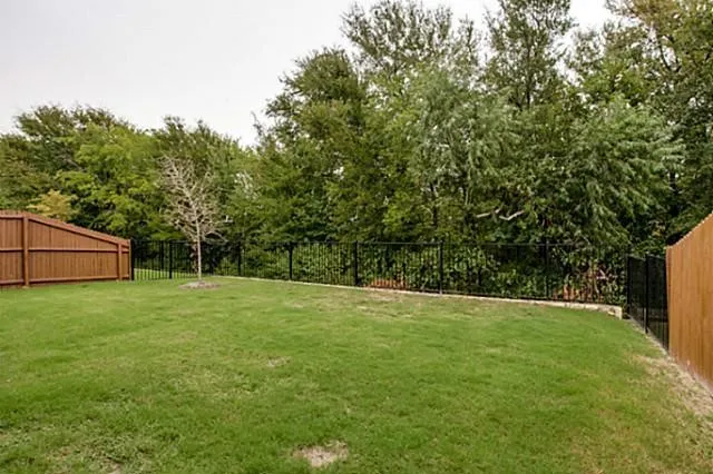 back yard overlooking the greenbelt