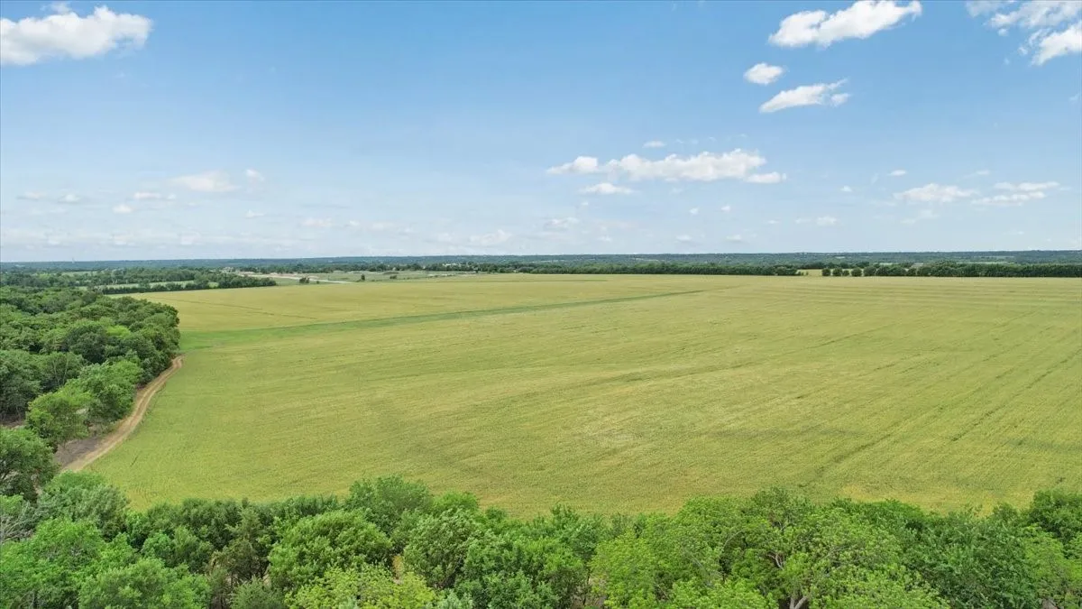Unimproved Land For Sale in Grayson County , 000 Jameson, Van Alstyne, Texas 75495, 0, 0, Garage spaces, 0 Sqft, built in 0, Price $715,000, mls#21303253, Real Estate Agent in Van Alstyne, Homes For Sale in Grayson county, Homes For Sale in Van Alstyne, Realtor in Van Alstyne Texas, Real Estate Brokerage Independent Realty Texas, Luminita Cordes Realtor
