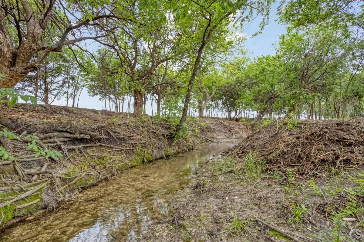 Unimproved Land For Sale in Grayson County , 000 Jameson, Van Alstyne, Texas 75495, 0, 0, Garage spaces, 0 Sqft, built in 0, Price $715,000, mls#21303253, Real Estate Agent in Van Alstyne, Homes For Sale in Grayson county, Homes For Sale in Van Alstyne, Realtor in Van Alstyne Texas, Real Estate Brokerage Independent Realty Texas, Luminita Cordes Realtor