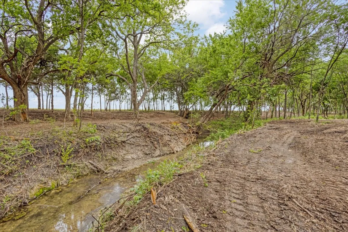 Unimproved Land For Sale in Grayson County , 000 Jameson, Van Alstyne, Texas 75495, 0, 0, Garage spaces, 0 Sqft, built in 0, Price $715,000, mls#21303253, Real Estate Agent in Van Alstyne, Homes For Sale in Grayson county, Homes For Sale in Van Alstyne, Realtor in Van Alstyne Texas, Real Estate Brokerage Independent Realty Texas, Luminita Cordes Realtor