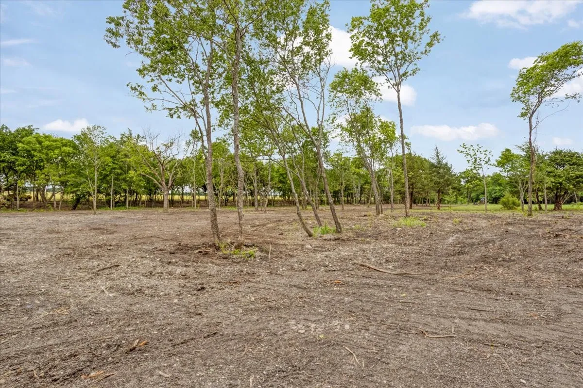 Unimproved Land For Sale in Grayson County , 000 Jameson, Van Alstyne, Texas 75495, 0, 0, Garage spaces, 0 Sqft, built in 0, Price $715,000, mls#21303253, Real Estate Agent in Van Alstyne, Homes For Sale in Grayson county, Homes For Sale in Van Alstyne, Realtor in Van Alstyne Texas, Real Estate Brokerage Independent Realty Texas, Luminita Cordes Realtor