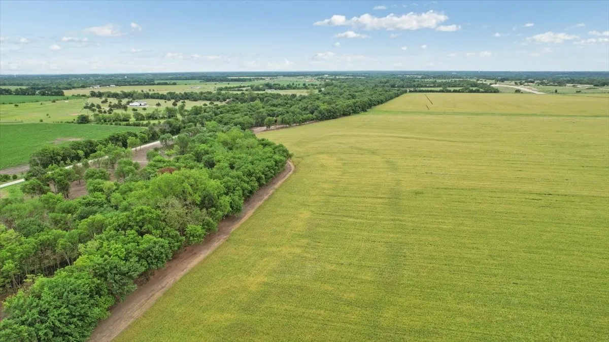 Unimproved Land For Sale in Grayson County , 000 Jameson, Van Alstyne, Texas 75495, 0, 0, Garage spaces, 0 Sqft, built in 0, Price $715,000, mls#21303253, Real Estate Agent in Van Alstyne, Homes For Sale in Grayson county, Homes For Sale in Van Alstyne, Realtor in Van Alstyne Texas, Real Estate Brokerage Independent Realty Texas, Luminita Cordes Realtor
