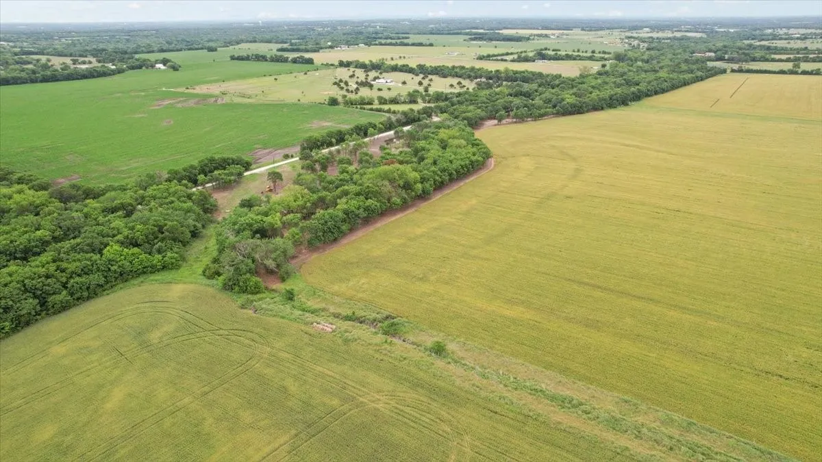 Unimproved Land For Sale in Grayson County , 000 Jameson, Van Alstyne, Texas 75495, 0, 0, Garage spaces, 0 Sqft, built in 0, Price $715,000, mls#21303253, Real Estate Agent in Van Alstyne, Homes For Sale in Grayson county, Homes For Sale in Van Alstyne, Realtor in Van Alstyne Texas, Real Estate Brokerage Independent Realty Texas, Luminita Cordes Realtor