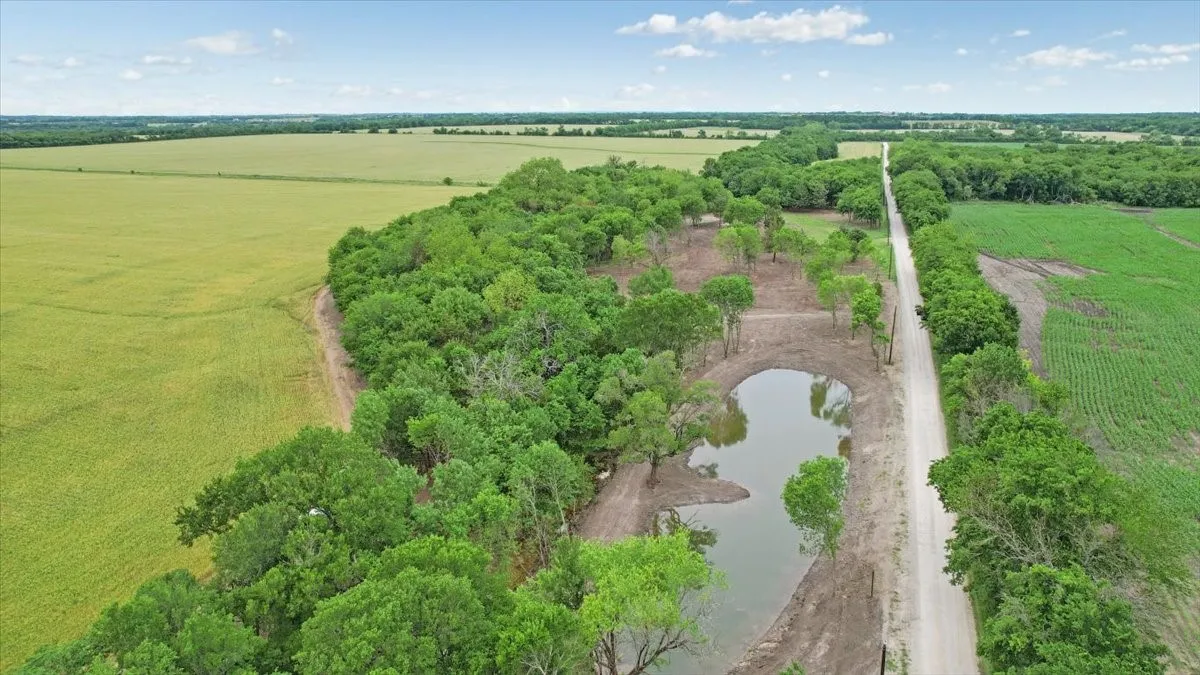 Unimproved Land For Sale in Grayson County , 000 Jameson, Van Alstyne, Texas 75495, 0, 0, Garage spaces, 0 Sqft, built in 0, Price $715,000, mls#21303253, Real Estate Agent in Van Alstyne, Homes For Sale in Grayson county, Homes For Sale in Van Alstyne, Realtor in Van Alstyne Texas, Real Estate Brokerage Independent Realty Texas, Luminita Cordes Realtor