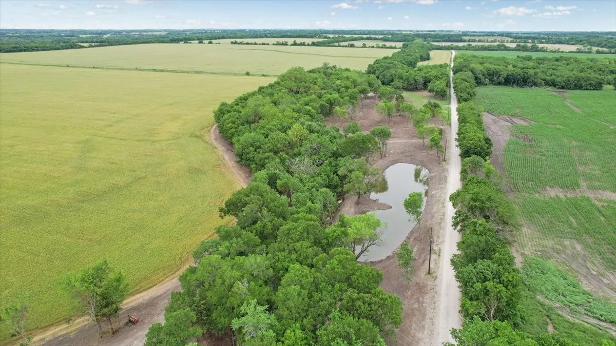 Unimproved Land For Sale in Grayson County , 000 Jameson, Van Alstyne, Texas 75495, 0, 0, Garage spaces, 0 Sqft, built in 0, Price $715,000, mls#21303253, Real Estate Agent in Van Alstyne, Homes For Sale in Grayson county, Homes For Sale in Van Alstyne, Realtor in Van Alstyne Texas, Real Estate Brokerage Independent Realty Texas, Luminita Cordes Realtor