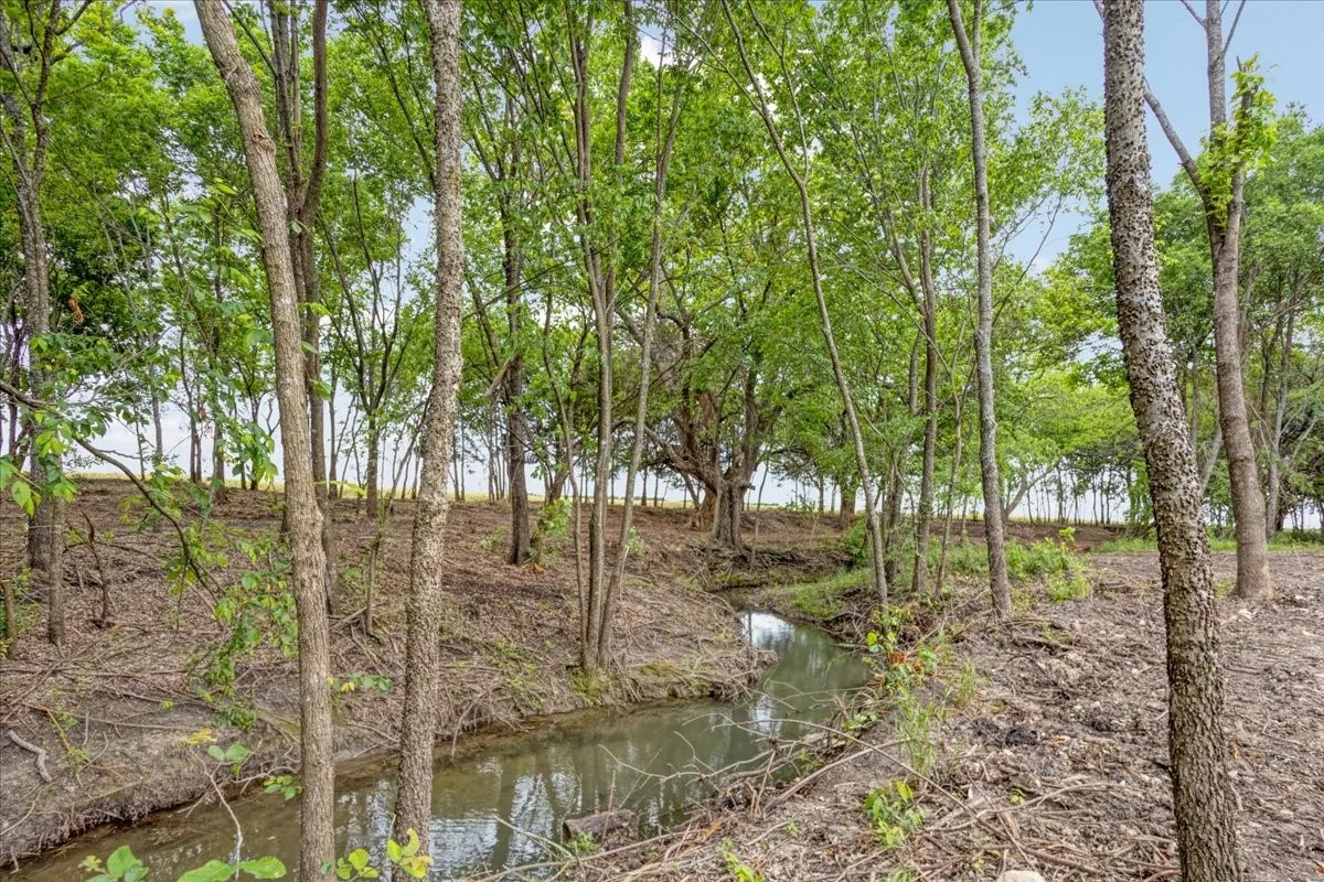 Unimproved Land For Sale in Grayson County , 000 Jameson, Van Alstyne, Texas 75495, 0, 0, Garage spaces, 0 Sqft, built in 0, Price $715,000, mls#21303253, Real Estate Agent in Van Alstyne, Homes For Sale in Grayson county, Homes For Sale in Van Alstyne, Realtor in Van Alstyne Texas, Real Estate Brokerage Independent Realty Texas, Luminita Cordes Realtor