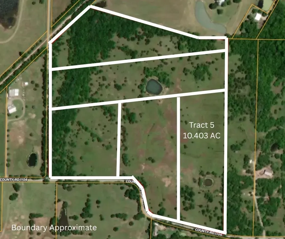 Unimproved Land For Sale in Hunt County , 5 County Road 1104, Celeste, Texas 75423, 0, 0, Garage spaces, 0 Sqft, built in 0, Price $245,000, mls#21301828, Real Estate Agent in Celeste, Homes For Sale in Hunt county, Homes For Sale in Celeste, Realtor in Celeste Texas, Real Estate Brokerage Independent Realty Texas, Luminita Cordes Realtor