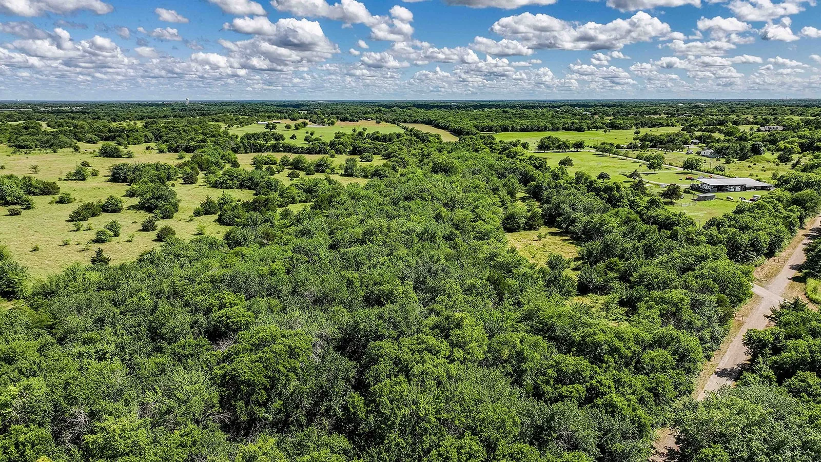 Expansive land parcel featuring dense tree coverage, open grassy areas, and a visible unpaved road