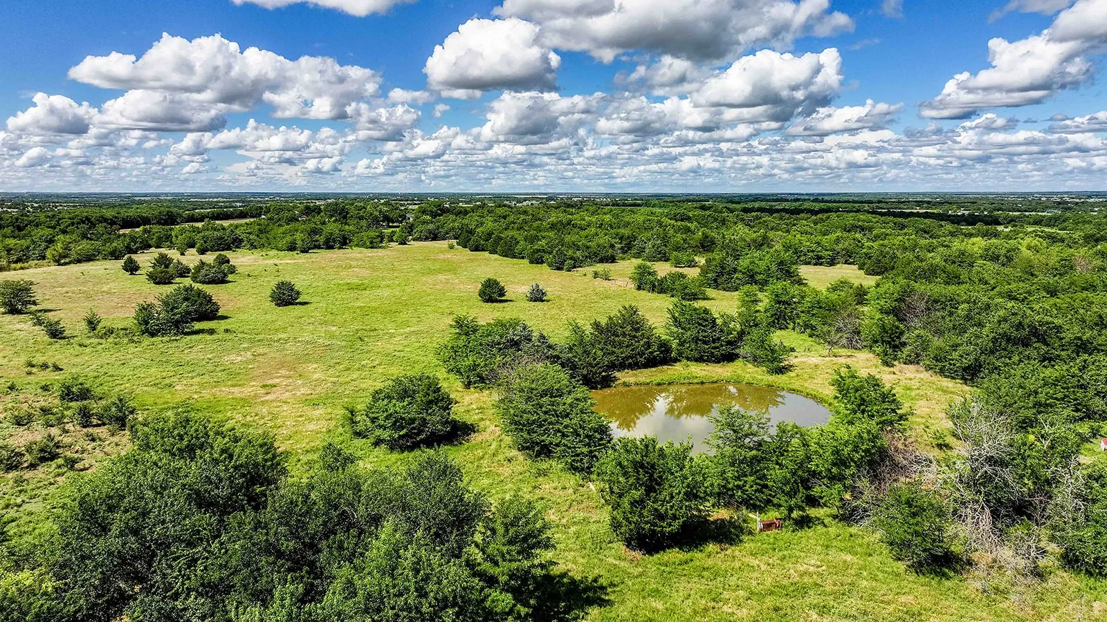 Expansive rural landscape featuring open grassy pastures, mature deciduous trees, scattered evergreen trees, and a natural pond