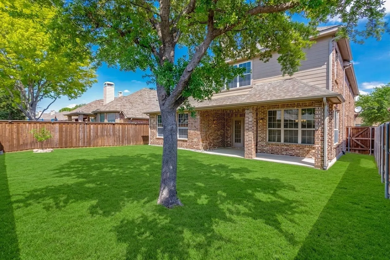 Backyard view
