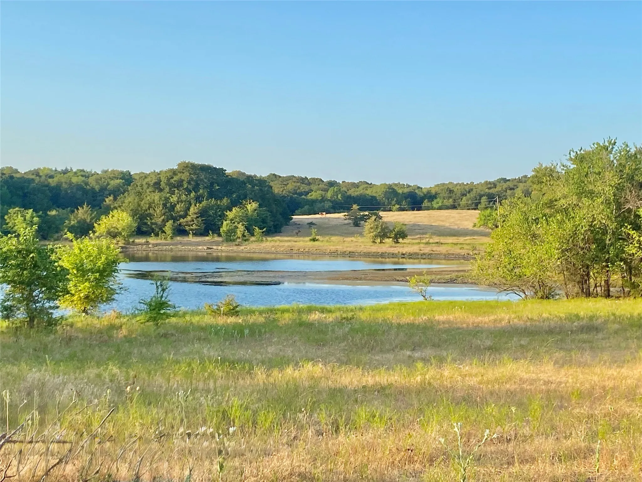Unimproved Land For Sale in Fannin County , 0000 FM 1752, Savoy, Texas 75479, 0, 0, Garage spaces, 0 Sqft, built in 0, Price $2,483,470, mls#21303284, Real Estate Agent in Savoy, Homes For Sale in Fannin county, Homes For Sale in Savoy, Realtor in Savoy Texas, Real Estate Brokerage Independent Realty Texas, Luminita Cordes Realtor
