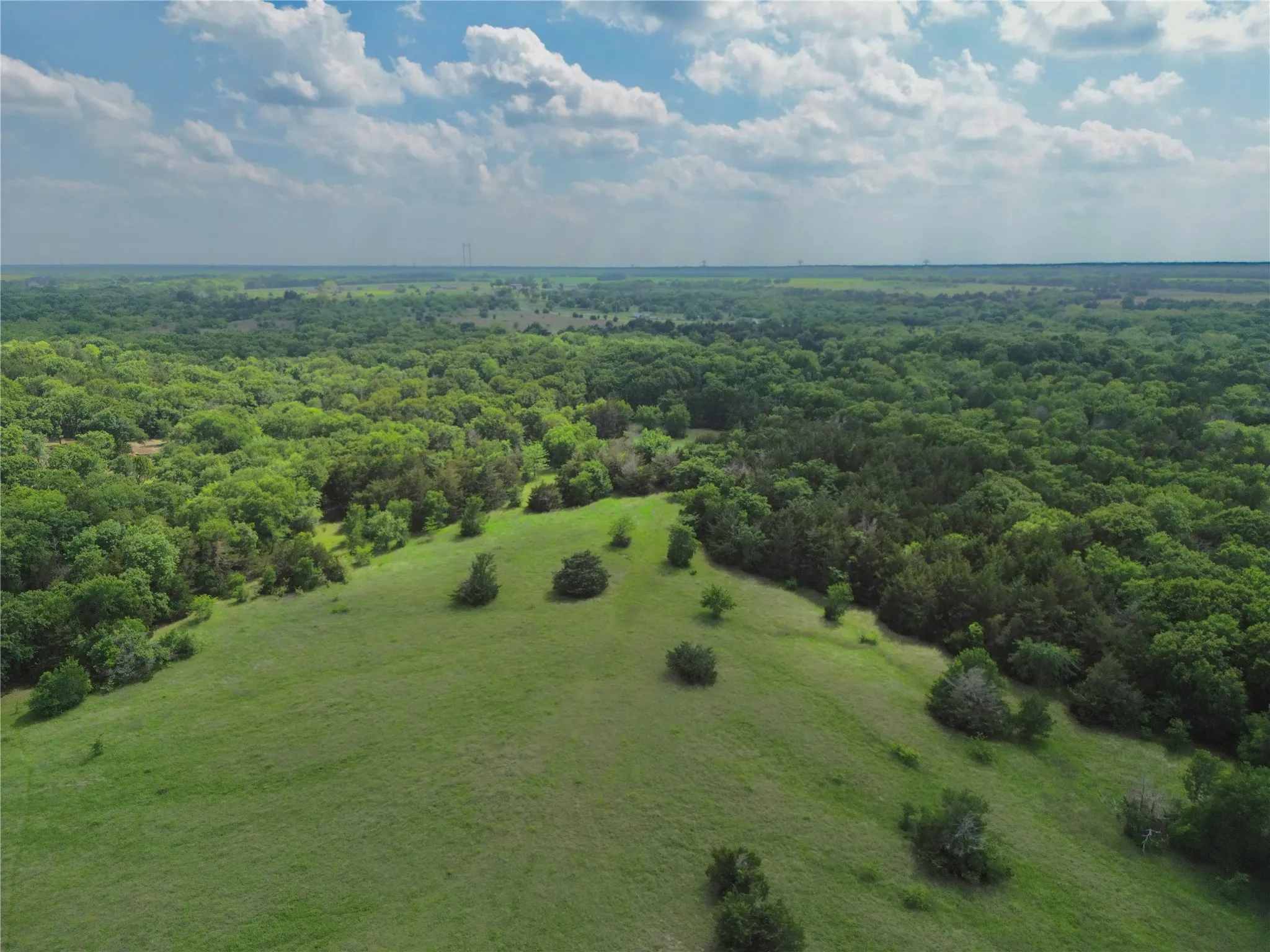 Unimproved Land For Sale in Fannin County , 0000 FM 1752, Savoy, Texas 75479, 0, 0, Garage spaces, 0 Sqft, built in 0, Price $2,483,470, mls#21303284, Real Estate Agent in Savoy, Homes For Sale in Fannin county, Homes For Sale in Savoy, Realtor in Savoy Texas, Real Estate Brokerage Independent Realty Texas, Luminita Cordes Realtor