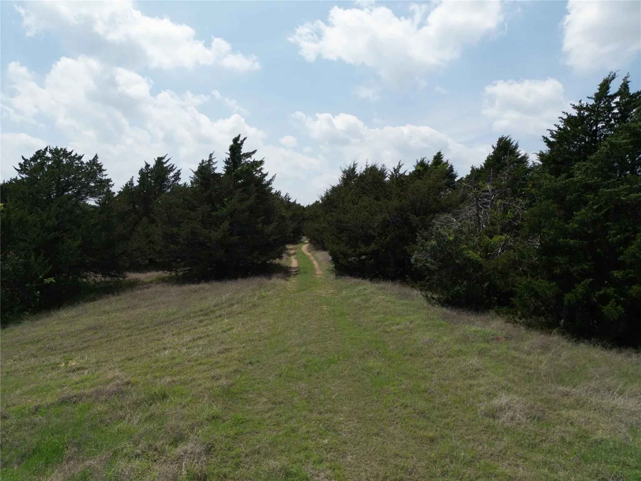 Unimproved Land For Sale in Fannin County , 0000 FM 1752, Savoy, Texas 75479, 0, 0, Garage spaces, 0 Sqft, built in 0, Price $2,483,470, mls#21303284, Real Estate Agent in Savoy, Homes For Sale in Fannin county, Homes For Sale in Savoy, Realtor in Savoy Texas, Real Estate Brokerage Independent Realty Texas, Luminita Cordes Realtor