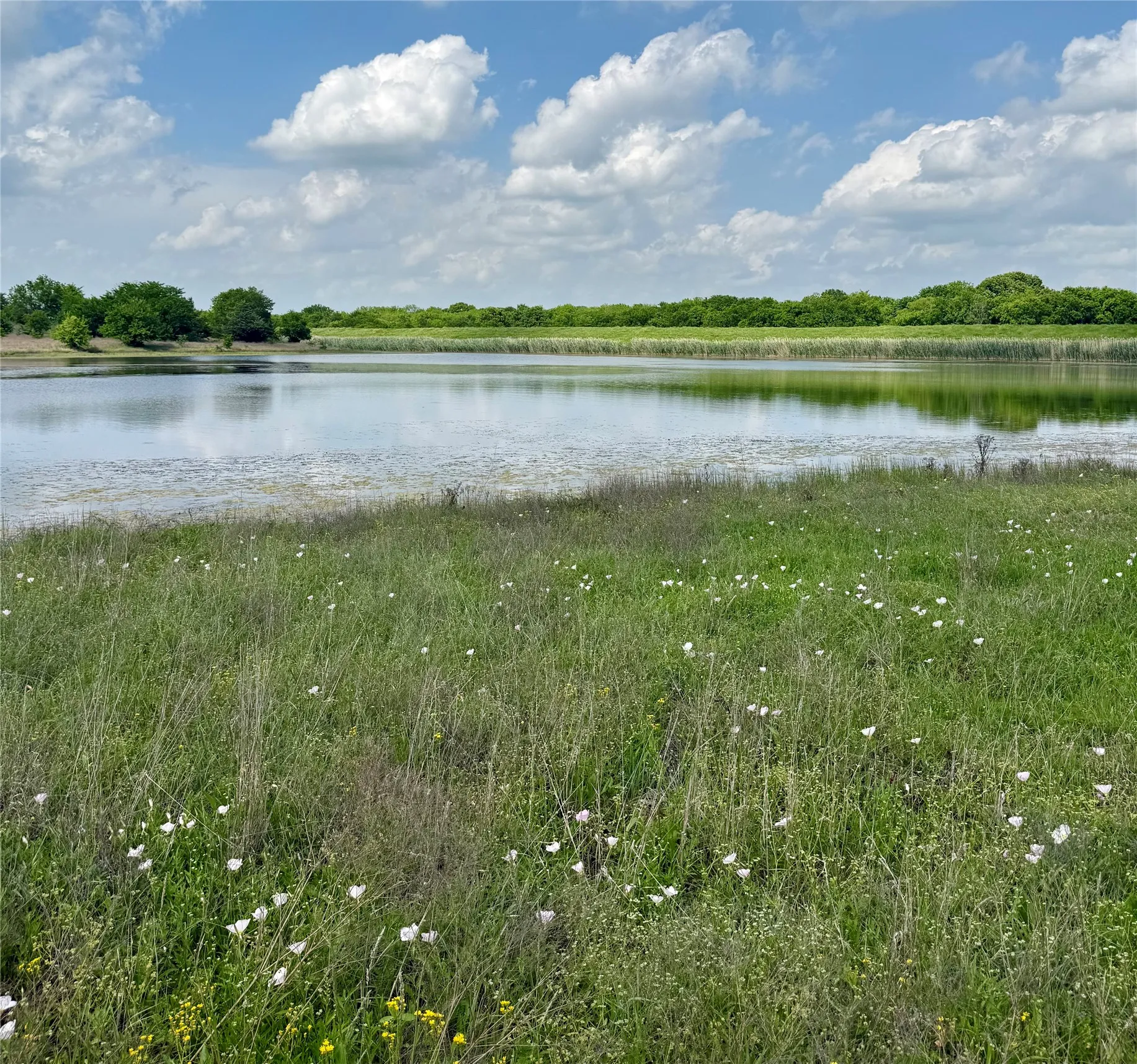 Unimproved Land For Sale in Fannin County , 0000 FM 1752, Savoy, Texas 75479, 0, 0, Garage spaces, 0 Sqft, built in 0, Price $2,483,470, mls#21303284, Real Estate Agent in Savoy, Homes For Sale in Fannin county, Homes For Sale in Savoy, Realtor in Savoy Texas, Real Estate Brokerage Independent Realty Texas, Luminita Cordes Realtor