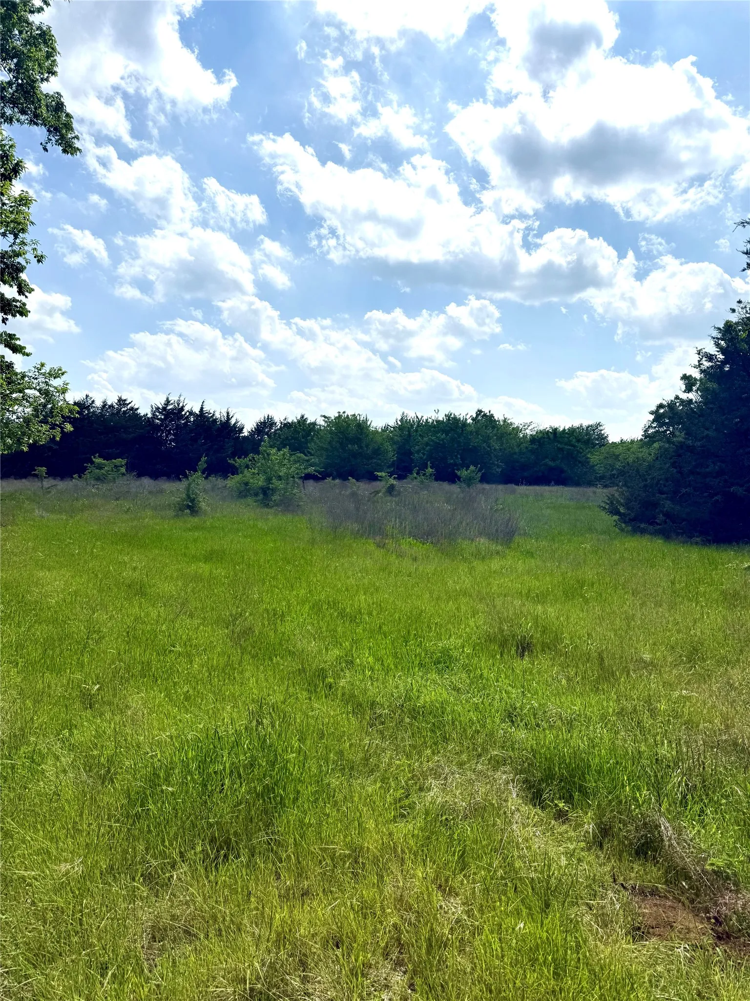 Unimproved Land For Sale in Fannin County , 0000 FM 1752, Savoy, Texas 75479, 0, 0, Garage spaces, 0 Sqft, built in 0, Price $2,483,470, mls#21303284, Real Estate Agent in Savoy, Homes For Sale in Fannin county, Homes For Sale in Savoy, Realtor in Savoy Texas, Real Estate Brokerage Independent Realty Texas, Luminita Cordes Realtor
