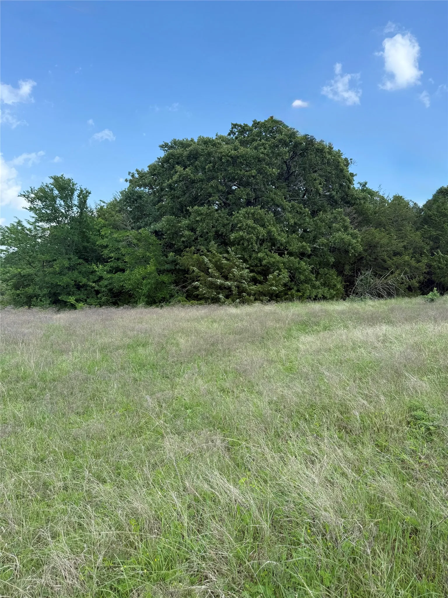 Unimproved Land For Sale in Fannin County , 0000 FM 1752, Savoy, Texas 75479, 0, 0, Garage spaces, 0 Sqft, built in 0, Price $2,483,470, mls#21303284, Real Estate Agent in Savoy, Homes For Sale in Fannin county, Homes For Sale in Savoy, Realtor in Savoy Texas, Real Estate Brokerage Independent Realty Texas, Luminita Cordes Realtor