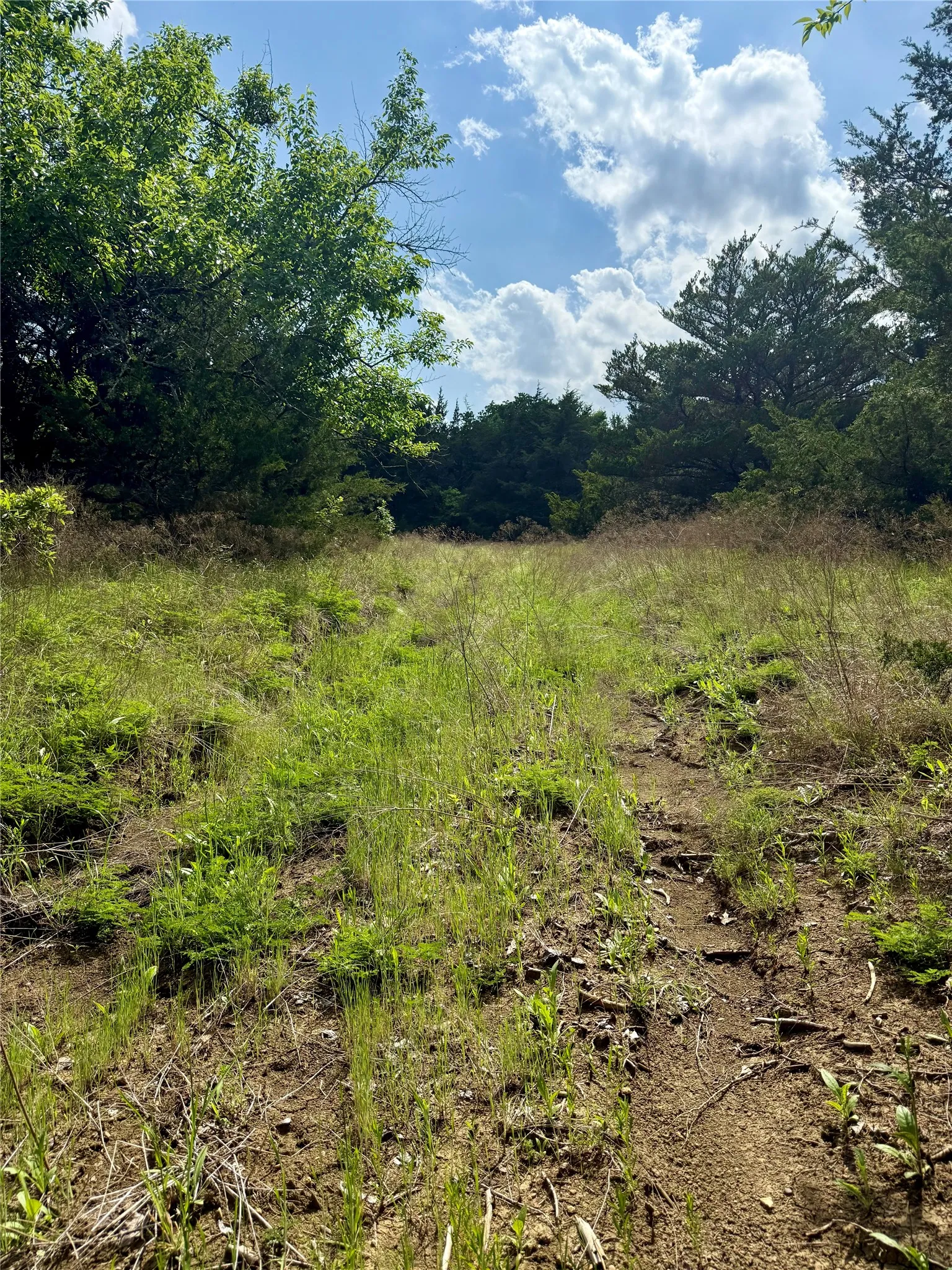Unimproved Land For Sale in Fannin County , 0000 FM 1752, Savoy, Texas 75479, 0, 0, Garage spaces, 0 Sqft, built in 0, Price $2,483,470, mls#21303284, Real Estate Agent in Savoy, Homes For Sale in Fannin county, Homes For Sale in Savoy, Realtor in Savoy Texas, Real Estate Brokerage Independent Realty Texas, Luminita Cordes Realtor