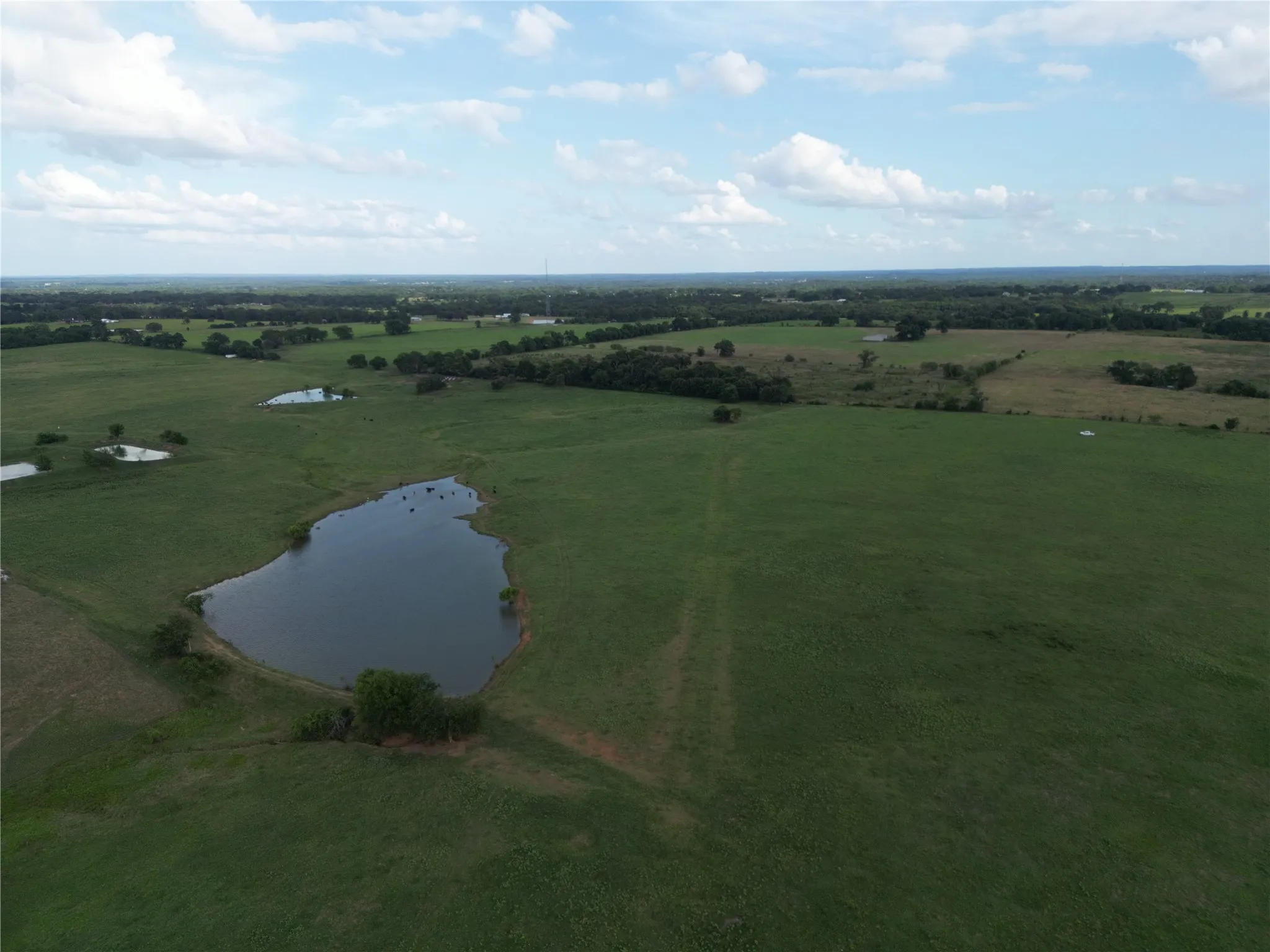 Unimproved Land For Sale in Van Zandt County , 580 VZ County Road1819, Grand Saline, Texas 75140, 0, 0, Garage spaces, 0 Sqft, built in 0, Price $685,000, mls#21303336, Real Estate Agent in Grand Saline, Homes For Sale in Van Zandt county, Homes For Sale in Grand Saline, Realtor in Grand Saline Texas, Real Estate Brokerage Independent Realty Texas, Luminita Cordes Realtor