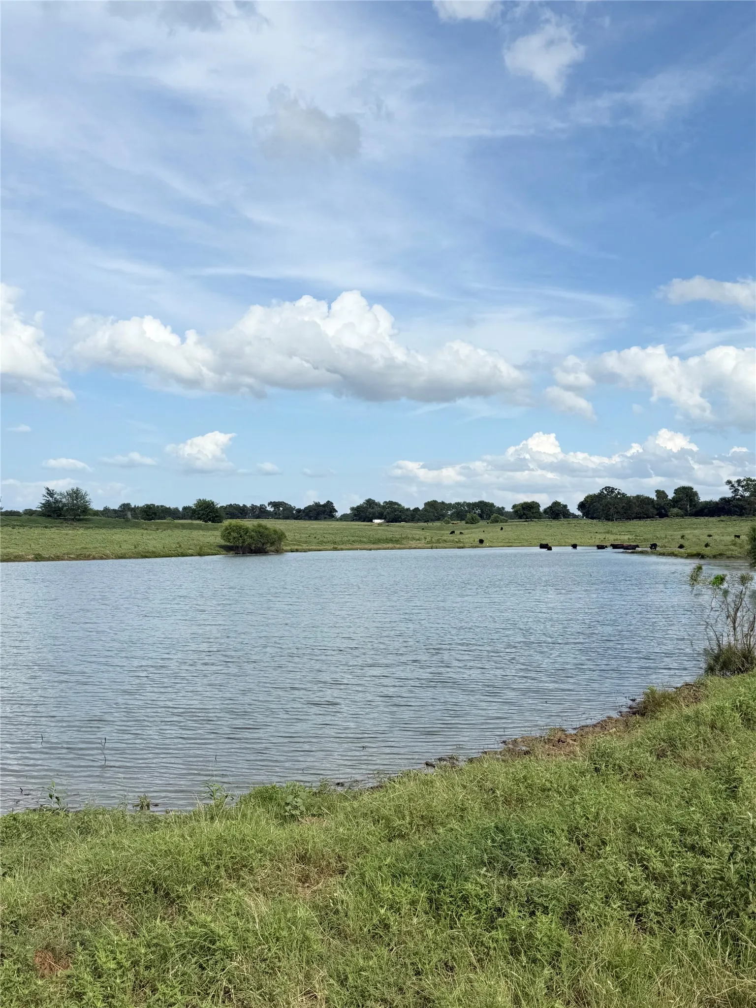 Unimproved Land For Sale in Van Zandt County , 580 VZ County Road1819, Grand Saline, Texas 75140, 0, 0, Garage spaces, 0 Sqft, built in 0, Price $685,000, mls#21303336, Real Estate Agent in Grand Saline, Homes For Sale in Van Zandt county, Homes For Sale in Grand Saline, Realtor in Grand Saline Texas, Real Estate Brokerage Independent Realty Texas, Luminita Cordes Realtor