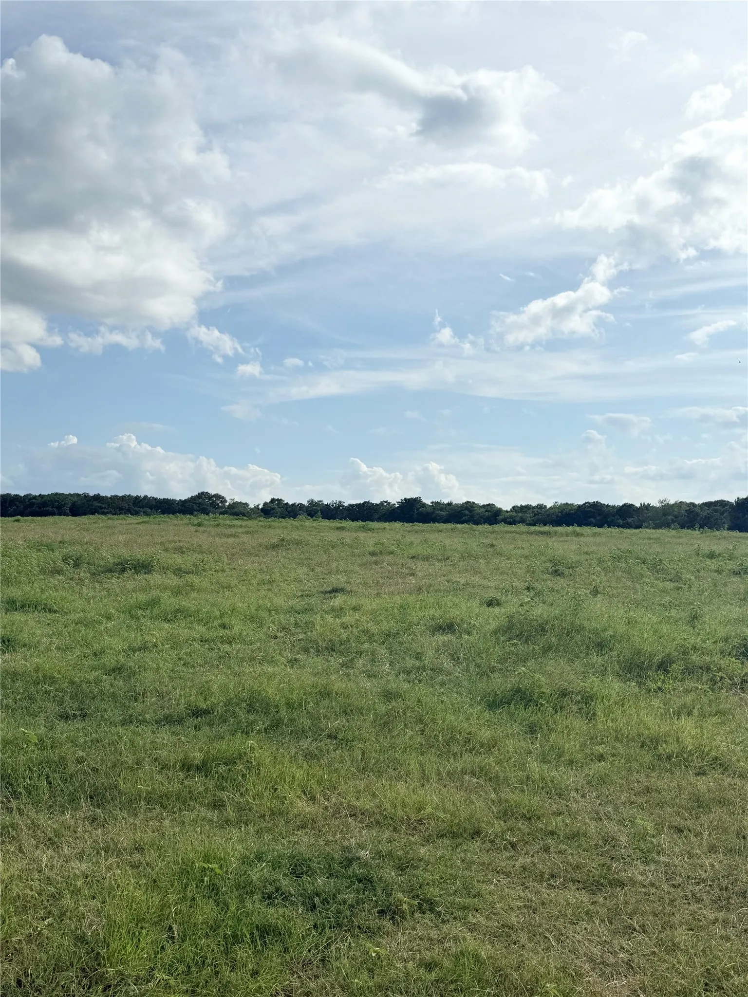 Unimproved Land For Sale in Van Zandt County , 580 VZ County Road1819, Grand Saline, Texas 75140, 0, 0, Garage spaces, 0 Sqft, built in 0, Price $685,000, mls#21303336, Real Estate Agent in Grand Saline, Homes For Sale in Van Zandt county, Homes For Sale in Grand Saline, Realtor in Grand Saline Texas, Real Estate Brokerage Independent Realty Texas, Luminita Cordes Realtor