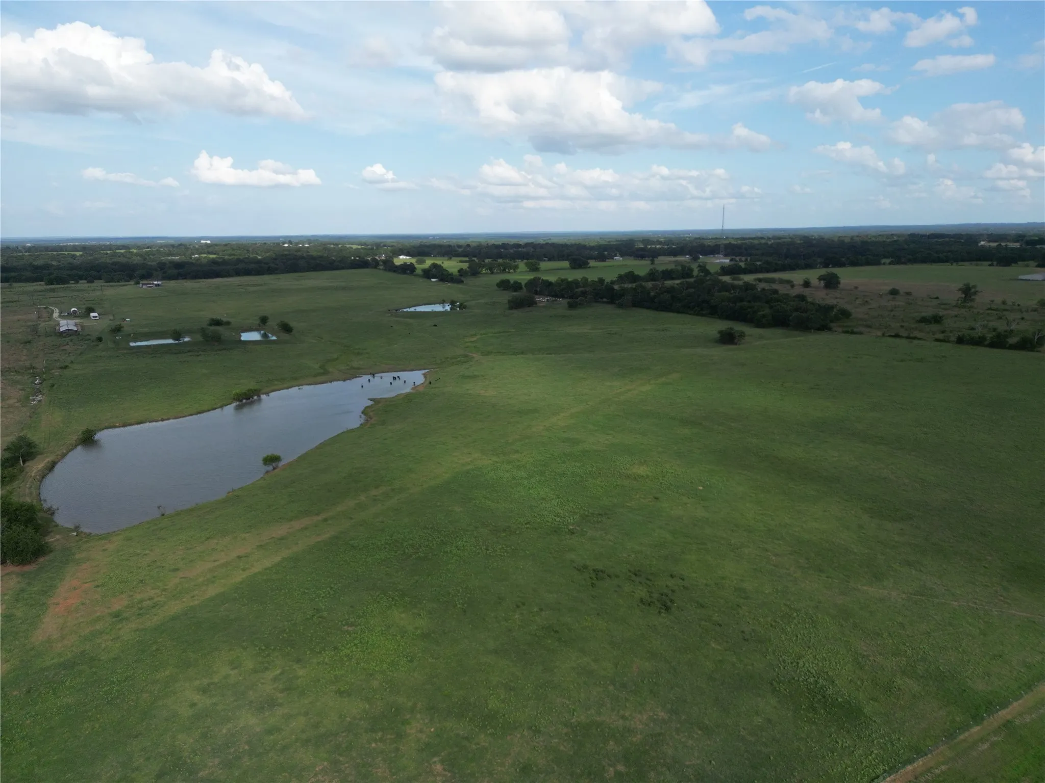 Unimproved Land For Sale in Van Zandt County , 580 VZ County Road1819, Grand Saline, Texas 75140, 0, 0, Garage spaces, 0 Sqft, built in 0, Price $685,000, mls#21303336, Real Estate Agent in Grand Saline, Homes For Sale in Van Zandt county, Homes For Sale in Grand Saline, Realtor in Grand Saline Texas, Real Estate Brokerage Independent Realty Texas, Luminita Cordes Realtor