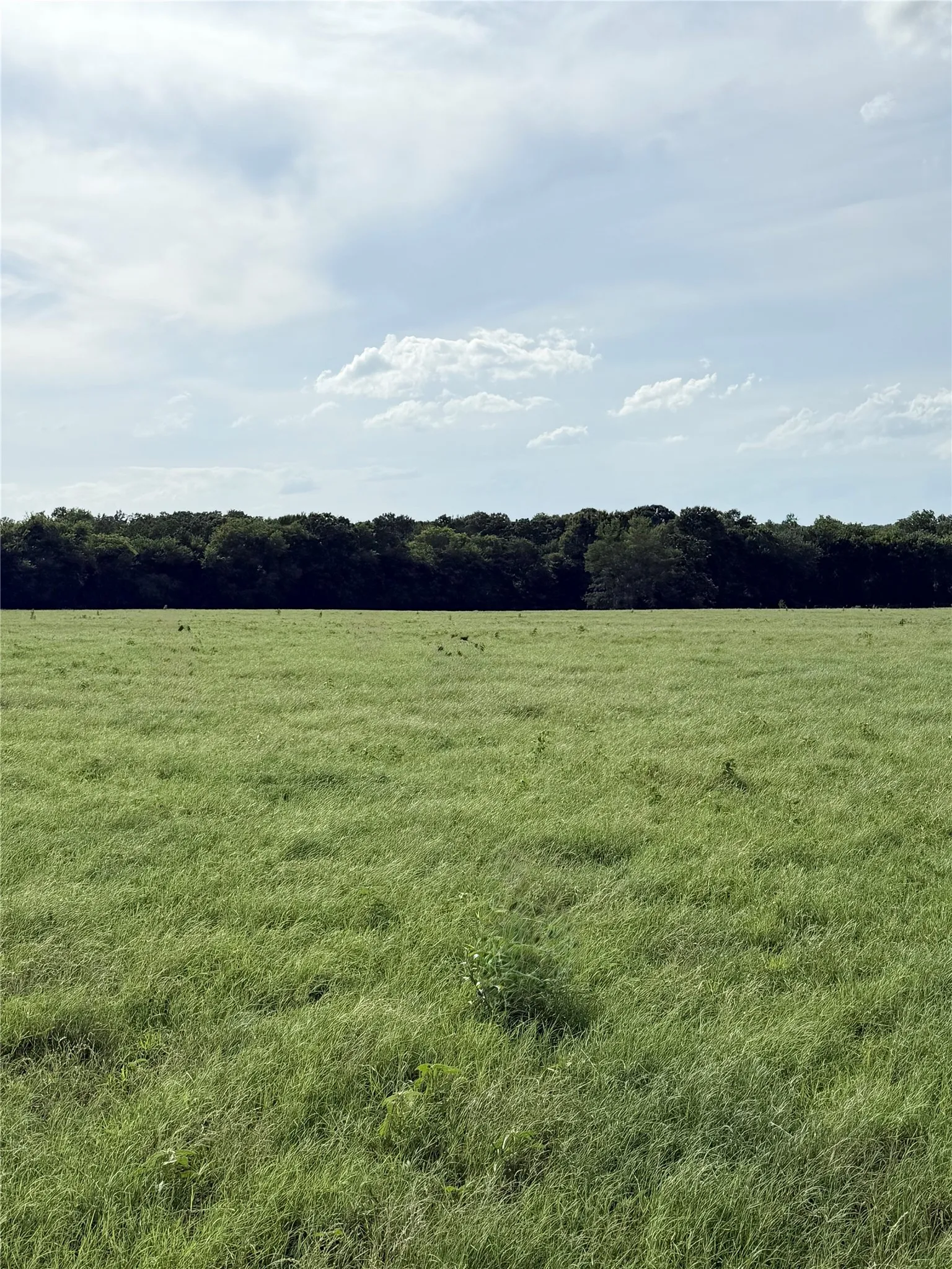 Unimproved Land For Sale in Van Zandt County , 580 VZ County Road1819, Grand Saline, Texas 75140, 0, 0, Garage spaces, 0 Sqft, built in 0, Price $685,000, mls#21303336, Real Estate Agent in Grand Saline, Homes For Sale in Van Zandt county, Homes For Sale in Grand Saline, Realtor in Grand Saline Texas, Real Estate Brokerage Independent Realty Texas, Luminita Cordes Realtor