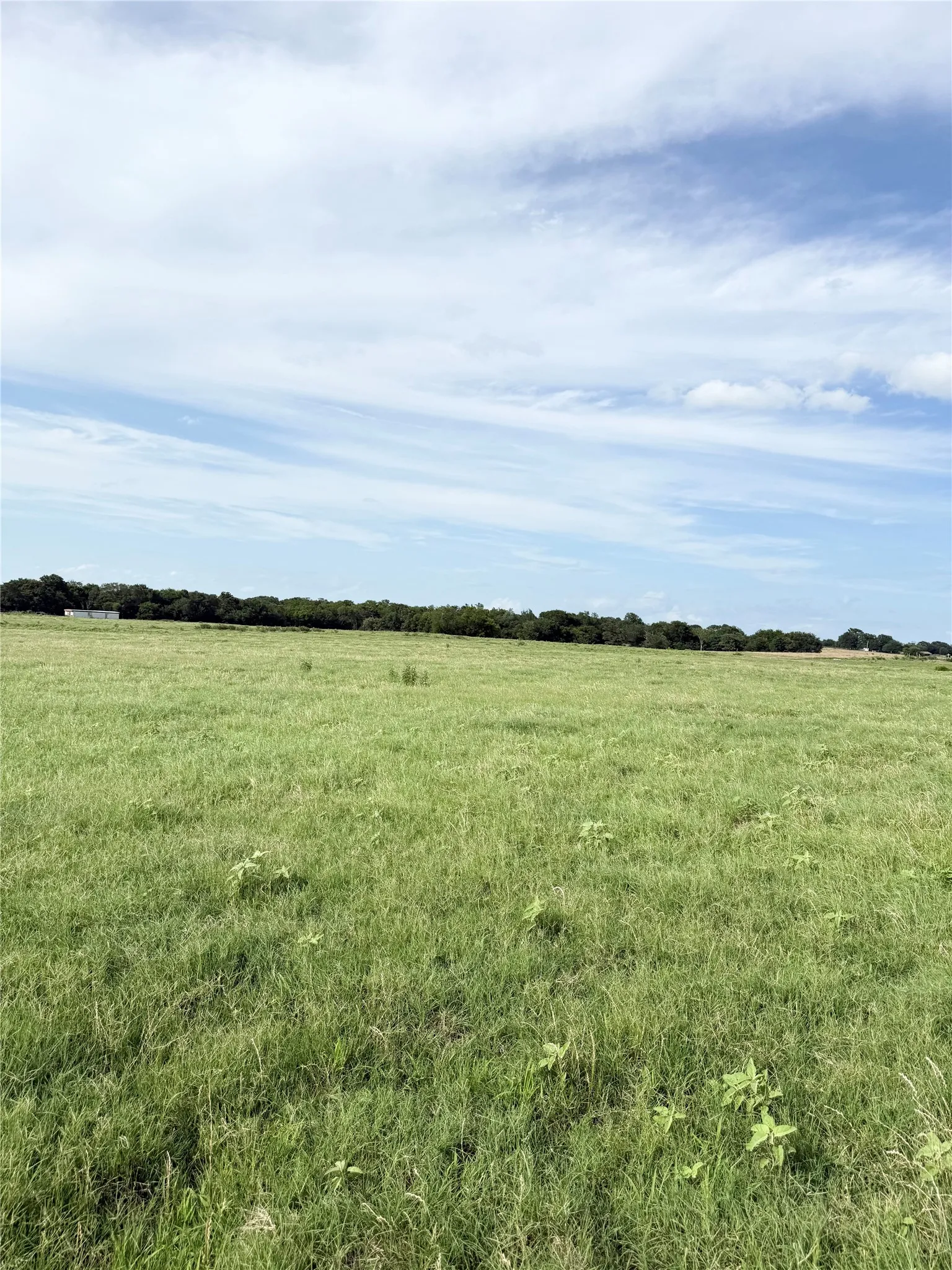 Unimproved Land For Sale in Van Zandt County , 580 VZ County Road1819, Grand Saline, Texas 75140, 0, 0, Garage spaces, 0 Sqft, built in 0, Price $685,000, mls#21303336, Real Estate Agent in Grand Saline, Homes For Sale in Van Zandt county, Homes For Sale in Grand Saline, Realtor in Grand Saline Texas, Real Estate Brokerage Independent Realty Texas, Luminita Cordes Realtor
