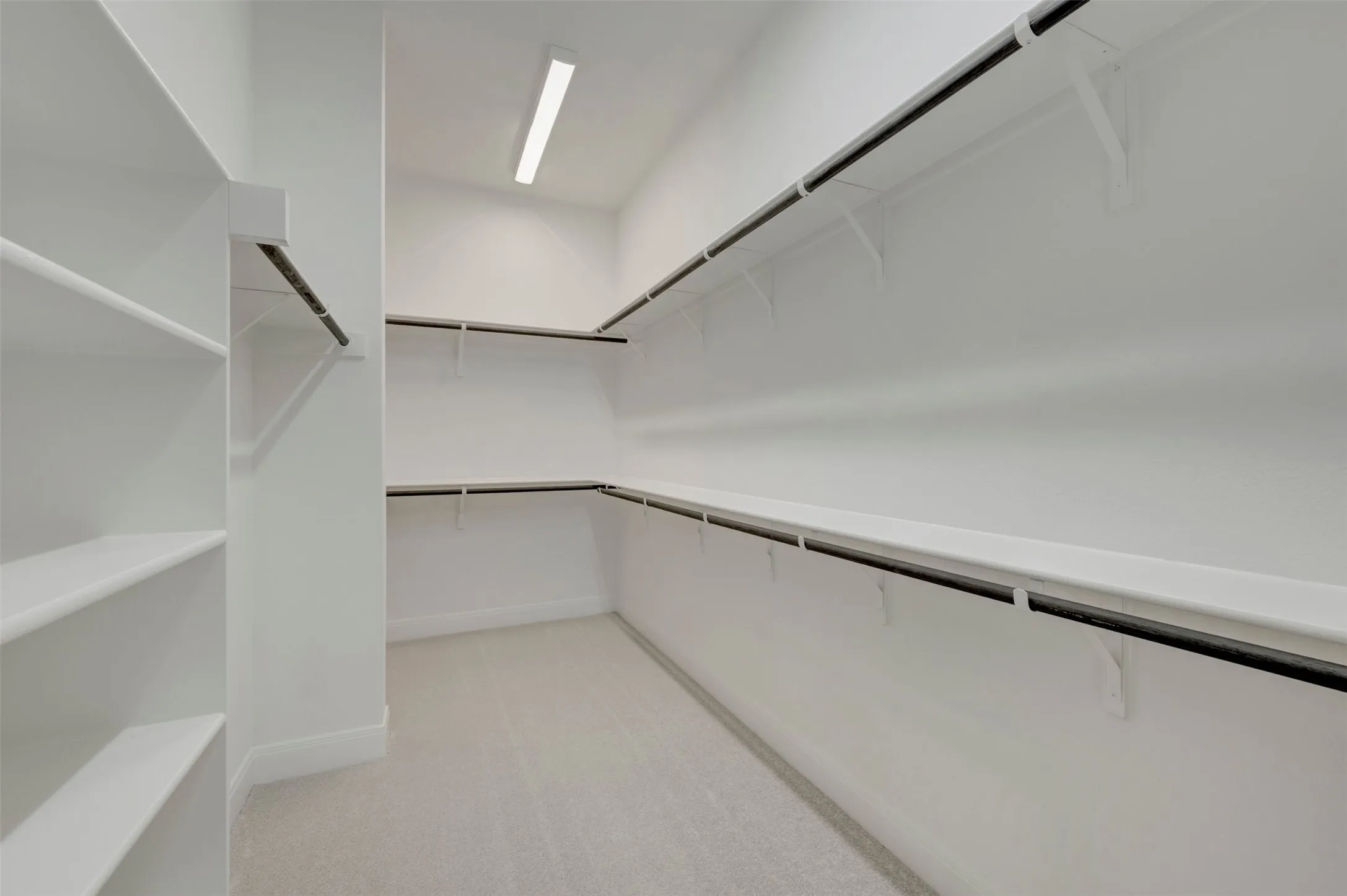 Walk-in closet featuring built-in shelving, multiple hanging rods, and carpet flooring