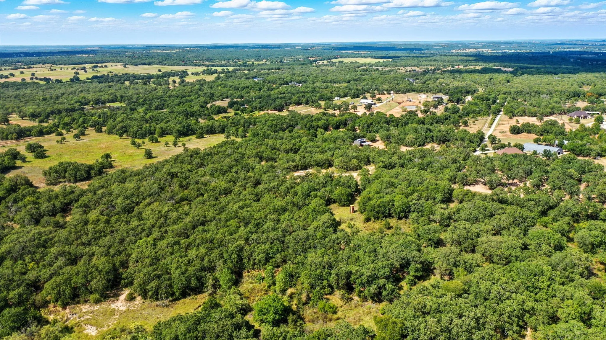 Aerial view of a forest