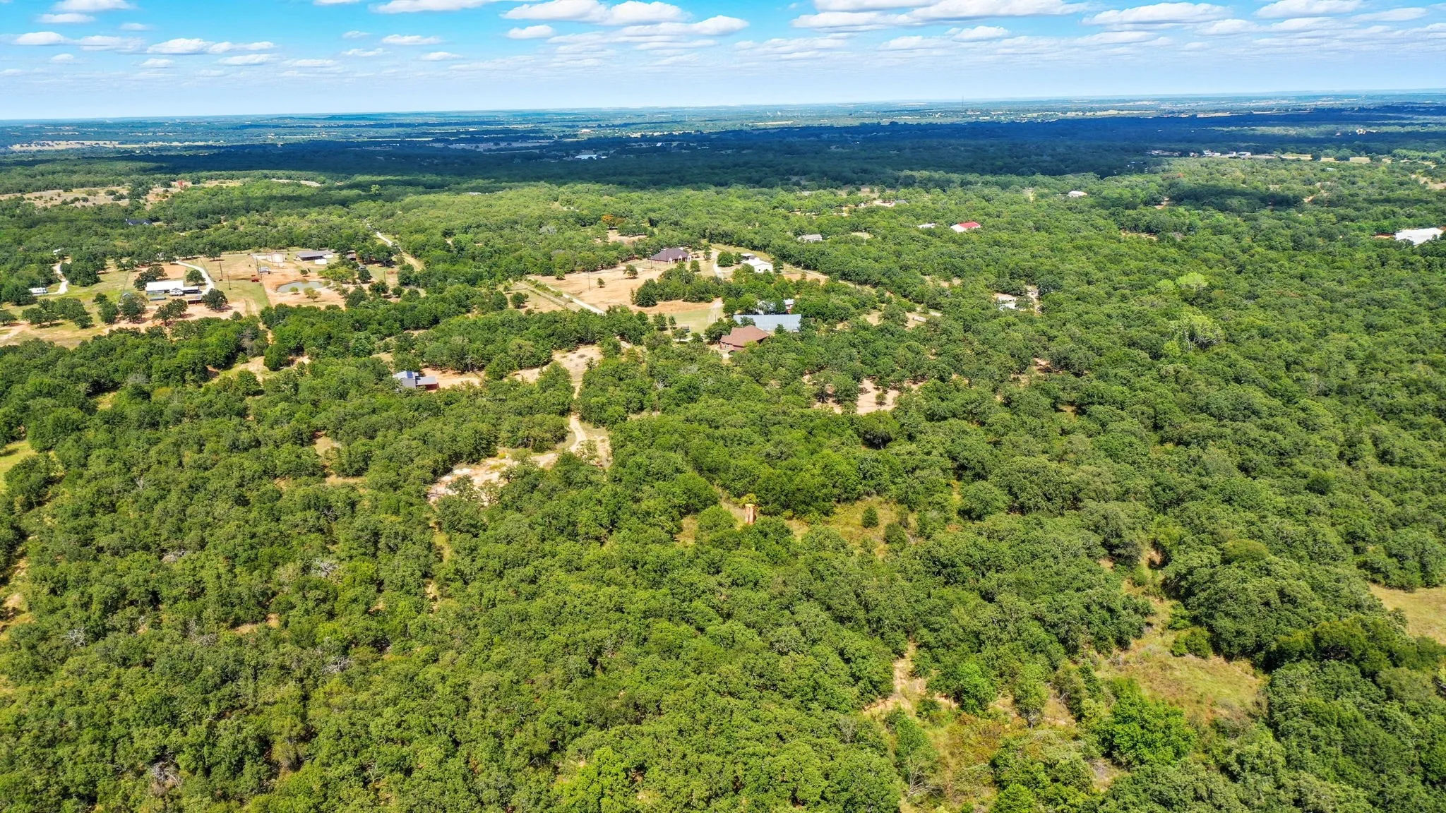 Bird's eye view of a forest