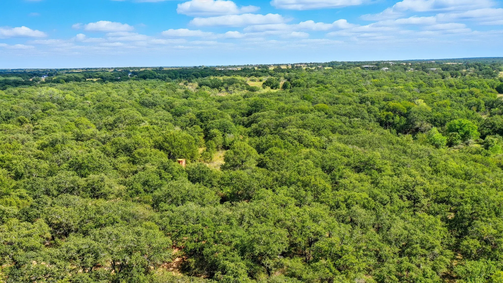 Bird's eye view of a heavily wooded area