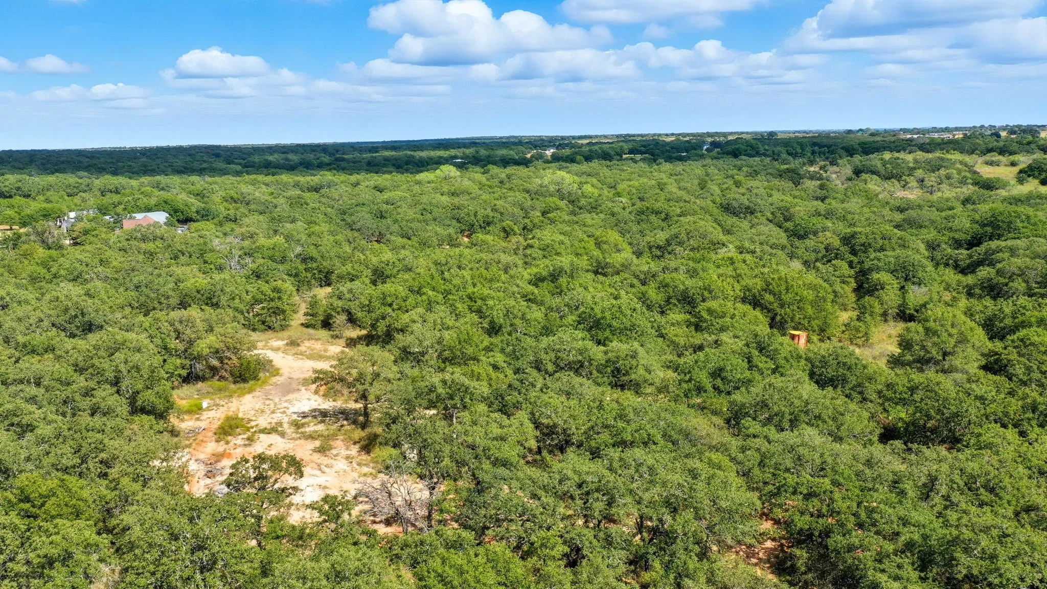 Drone / aerial view of a forest