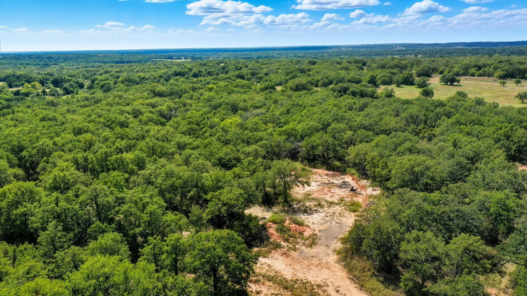 Drone / aerial view of a forest