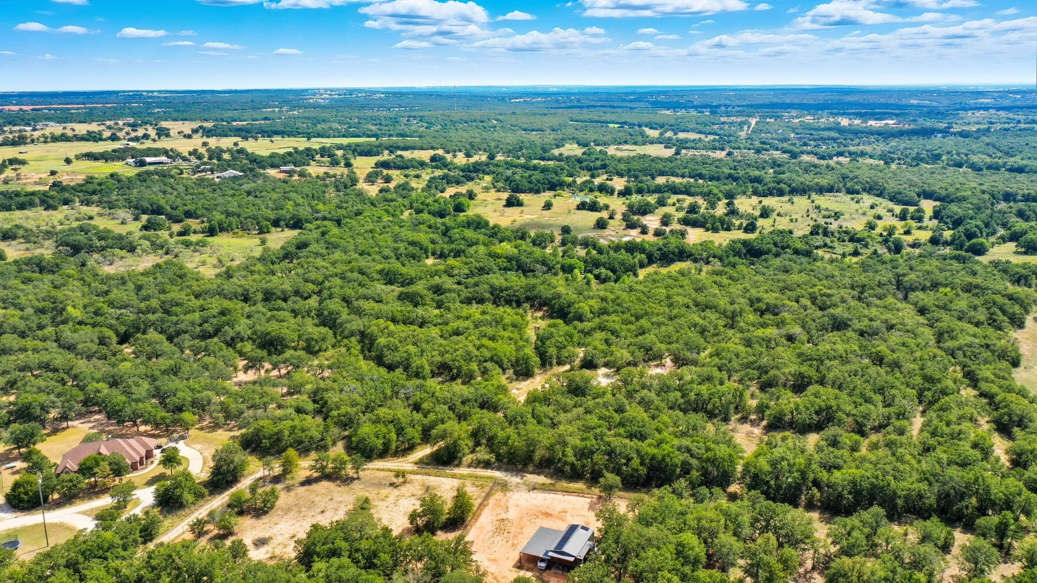 Bird's eye view of a forest