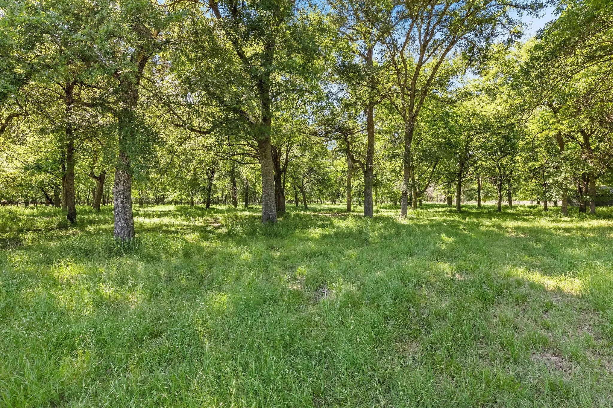 Single Family Residence For Sale in Wise County , 145 Indian Trail, Decatur, Texas 76234, 3 Bedroom, 4 Bathroom, 2 Garage spaces, 3,394 Sqft, built in 1997, mls#21296502, Real Estate Agent in Decatur, Homes For Sale in Wise county, Homes For Sale in Decatur, Realtor in Decatur Texas, Real Estate Brokerage Independent Realty Texas, Luminita Cordes Realtor