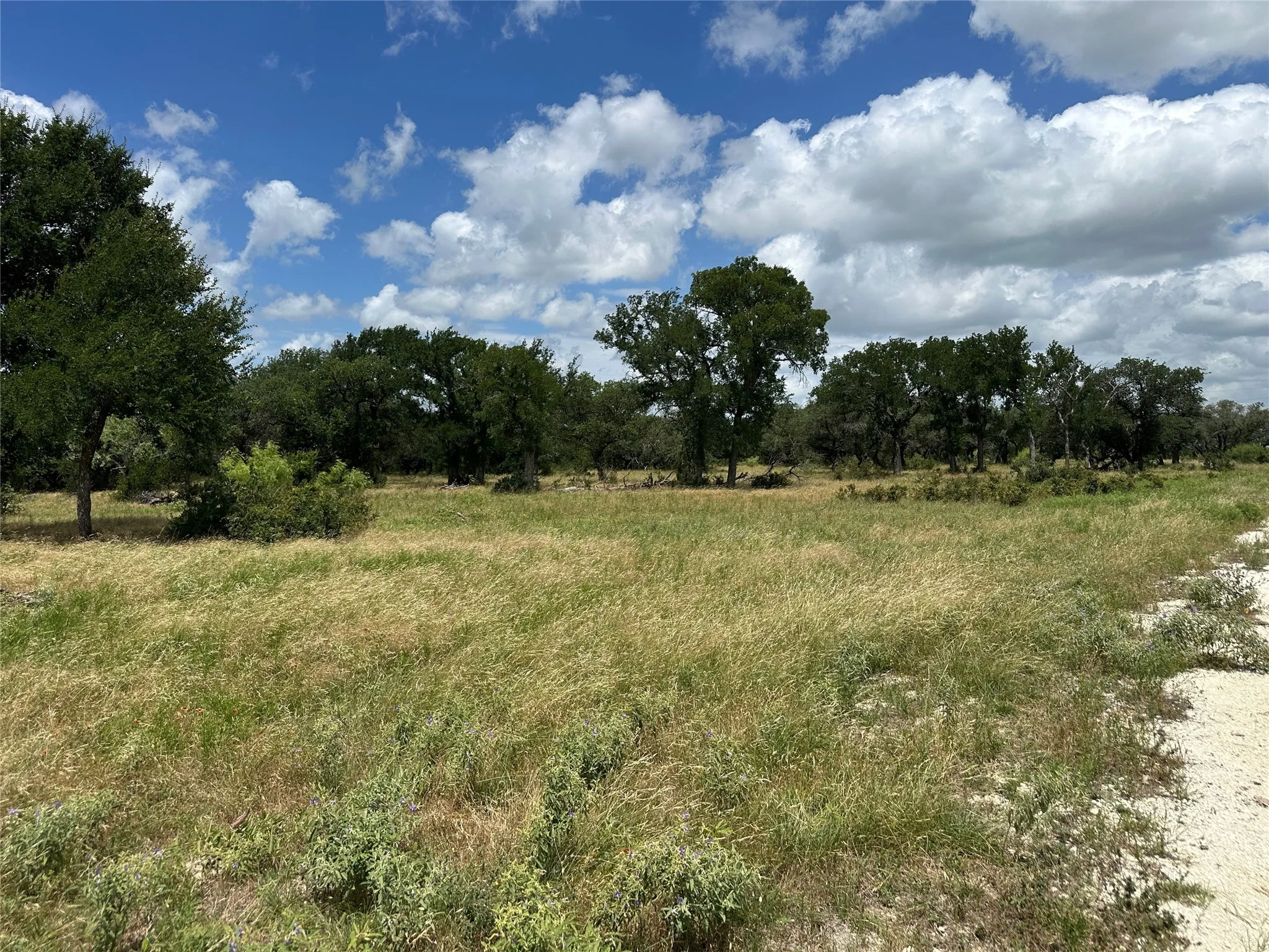Unimproved Land For Sale in Comanche County , 5 Pecan Valley Drive, Comanche, Texas 76452, 0, 0, Garage spaces, 0 Sqft, built in 0, Price $120,000, mls#21303521, Real Estate Agent in Comanche, Homes For Sale in Comanche county, Homes For Sale in Comanche, Realtor in Comanche Texas, Real Estate Brokerage Independent Realty Texas, Luminita Cordes Realtor