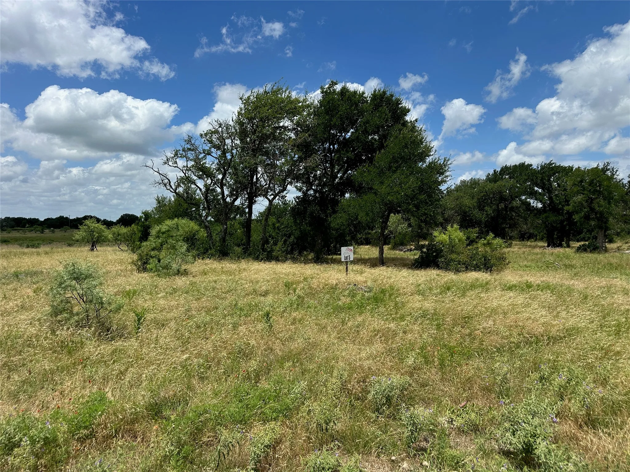 Unimproved Land For Sale in Comanche County , 5 Pecan Valley Drive, Comanche, Texas 76452, 0, 0, Garage spaces, 0 Sqft, built in 0, Price $120,000, mls#21303521, Real Estate Agent in Comanche, Homes For Sale in Comanche county, Homes For Sale in Comanche, Realtor in Comanche Texas, Real Estate Brokerage Independent Realty Texas, Luminita Cordes Realtor