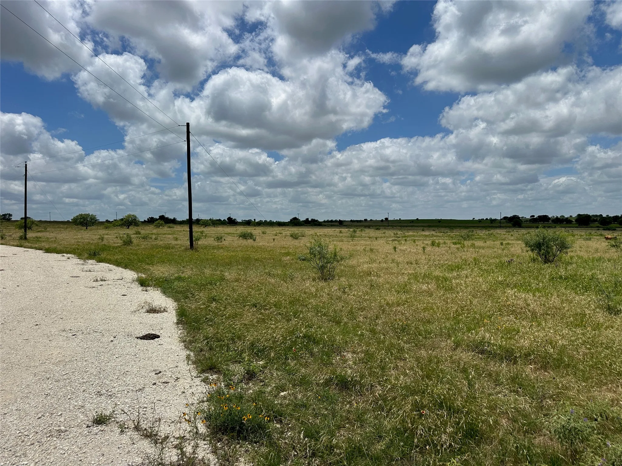 Unimproved Land For Sale in Comanche County , 5 Pecan Valley Drive, Comanche, Texas 76452, 0, 0, Garage spaces, 0 Sqft, built in 0, Price $120,000, mls#21303521, Real Estate Agent in Comanche, Homes For Sale in Comanche county, Homes For Sale in Comanche, Realtor in Comanche Texas, Real Estate Brokerage Independent Realty Texas, Luminita Cordes Realtor