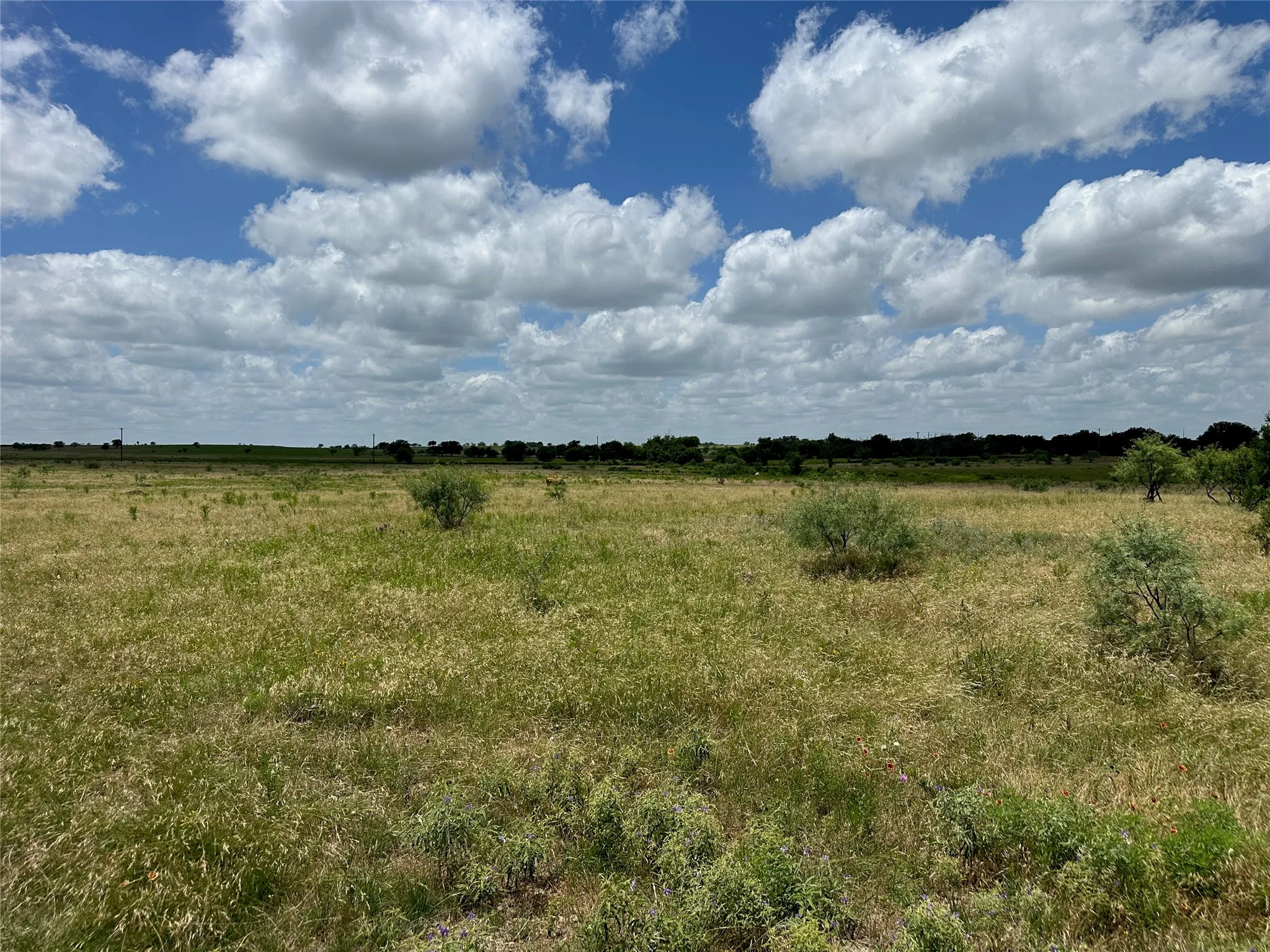 Unimproved Land For Sale in Comanche County , 5 Pecan Valley Drive, Comanche, Texas 76452, 0, 0, Garage spaces, 0 Sqft, built in 0, Price $120,000, mls#21303521, Real Estate Agent in Comanche, Homes For Sale in Comanche county, Homes For Sale in Comanche, Realtor in Comanche Texas, Real Estate Brokerage Independent Realty Texas, Luminita Cordes Realtor