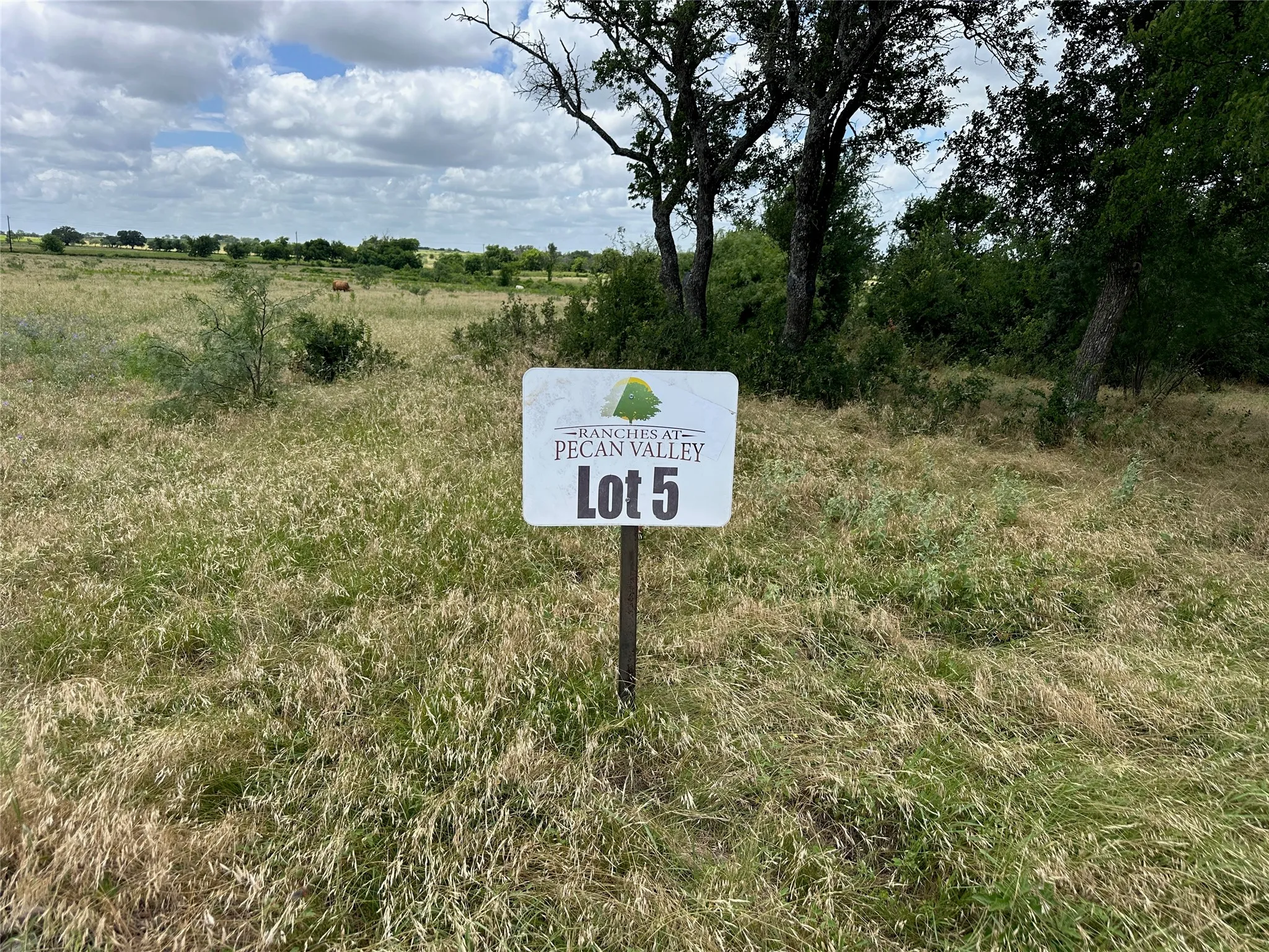 Unimproved Land For Sale in Comanche County , 5 Pecan Valley Drive, Comanche, Texas 76452, 0, 0, Garage spaces, 0 Sqft, built in 0, Price $120,000, mls#21303521, Real Estate Agent in Comanche, Homes For Sale in Comanche county, Homes For Sale in Comanche, Realtor in Comanche Texas, Real Estate Brokerage Independent Realty Texas, Luminita Cordes Realtor