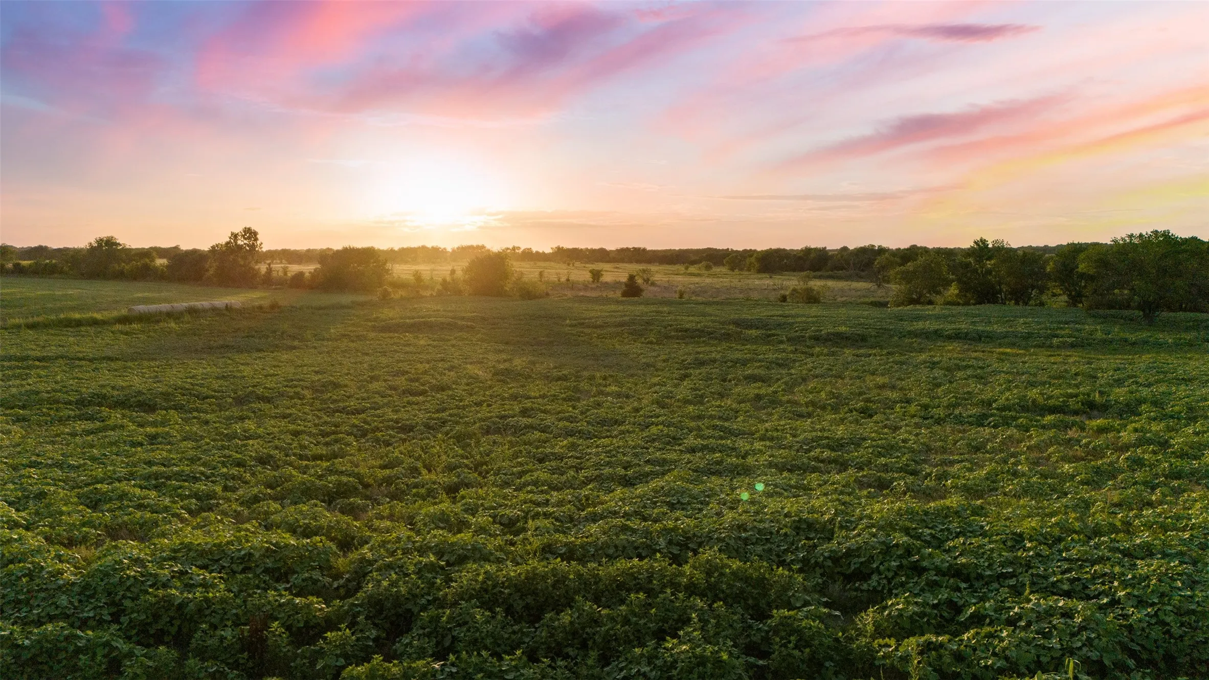 Farm For Sale in Mc Lennan County , 4864 S Hwy 77 Highway, Lorena, Texas 76655, 3 Bedroom, 2 Bathroom, 2 Garage spaces, 2,615 Sqft, built in 1980, mls#21291438, Real Estate Agent in Lorena, Homes For Sale in Mc Lennan county, Homes For Sale in Lorena, Realtor in Lorena Texas, Real Estate Brokerage Independent Realty Texas, Luminita Cordes Realtor