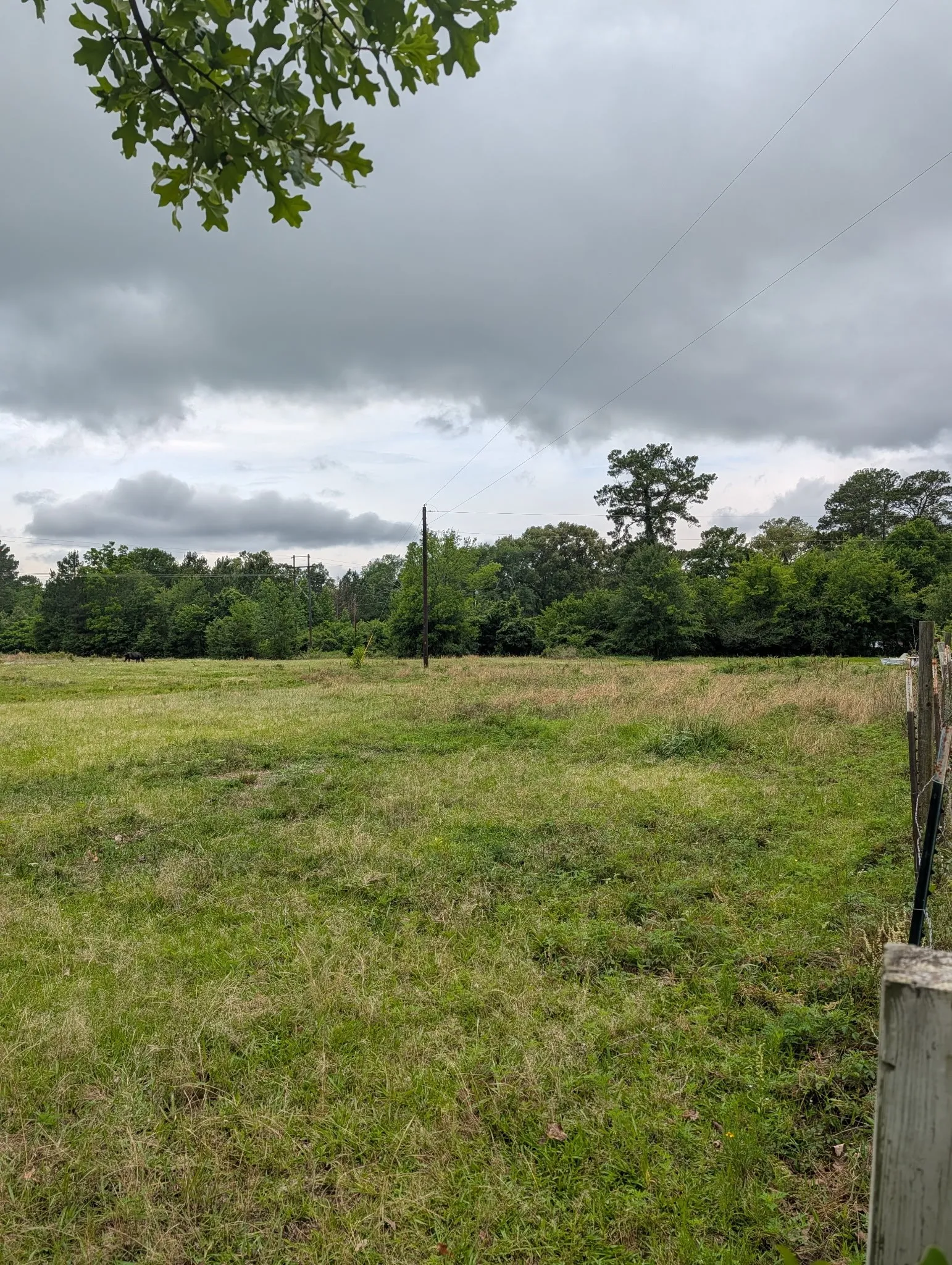 Unimproved Land For Sale in Wood County , 0 CR 3448, Hawkins, Texas 75765, 0, 0, Garage spaces, 0 Sqft, built in 0, mls#21303644, Real Estate Agent in Hawkins, Homes For Sale in Wood county, Homes For Sale in Hawkins, Realtor in Hawkins Texas, Real Estate Brokerage Independent Realty Texas, Luminita Cordes Realtor