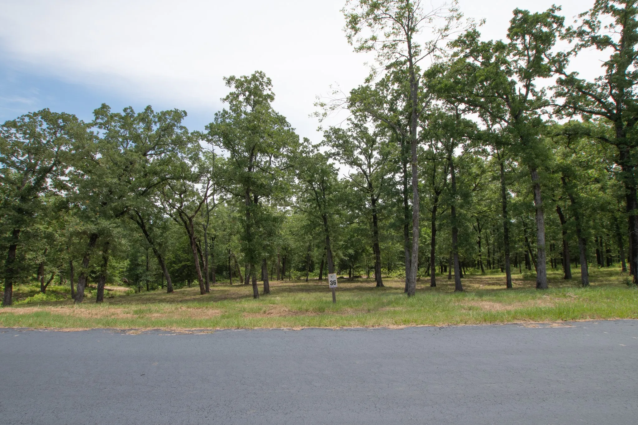 View from street facing lot #29