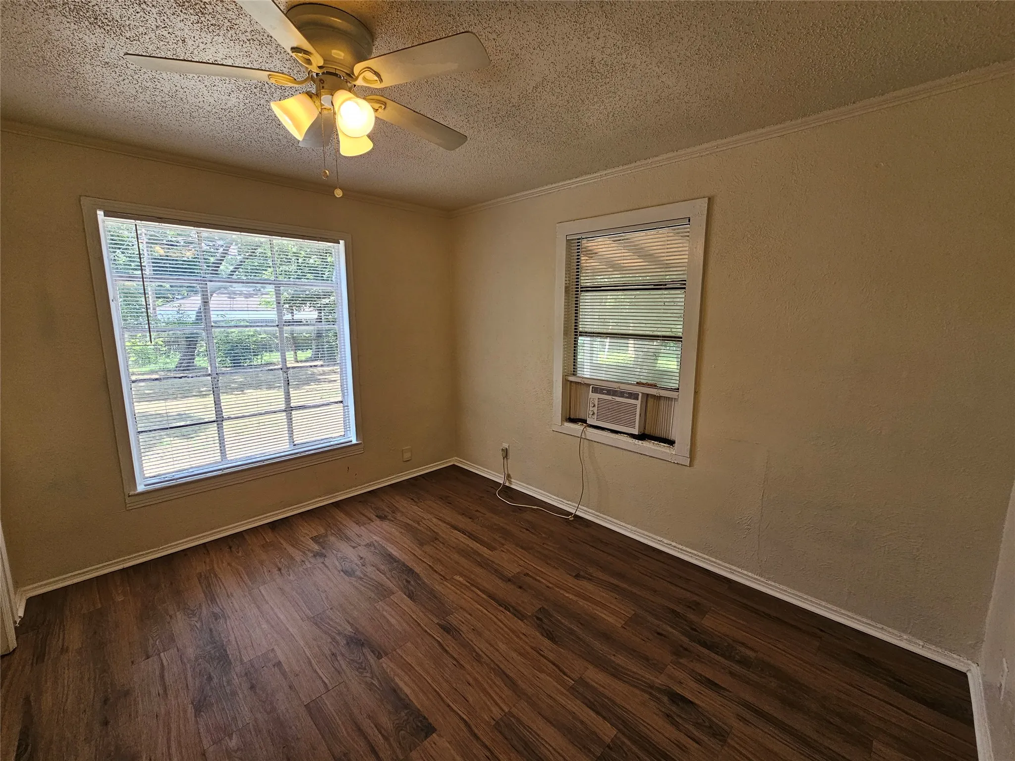 Spacious room featuring wood-finish flooring, a ceiling fan with light fixture, and two windows providing natural light