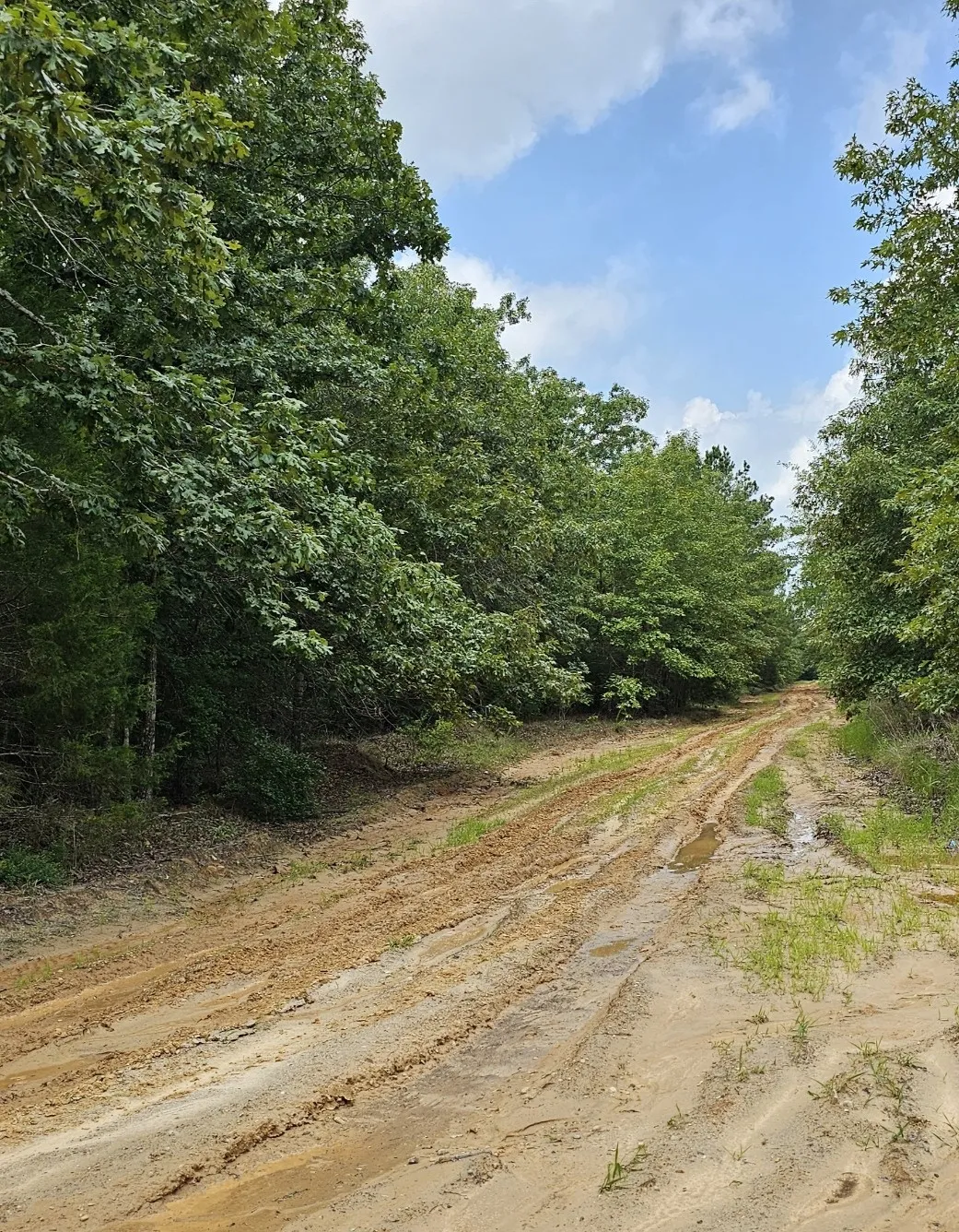 Unimproved Land For Sale in Lamar County , TBD Cristine St, Blossom, Texas 75416, 0, 0, Garage spaces, 0 Sqft, built in 0, Price $58,000, mls#21299640, Real Estate Agent in Blossom, Homes For Sale in Lamar county, Homes For Sale in Blossom, Realtor in Blossom Texas, Real Estate Brokerage Independent Realty Texas, Luminita Cordes Realtor